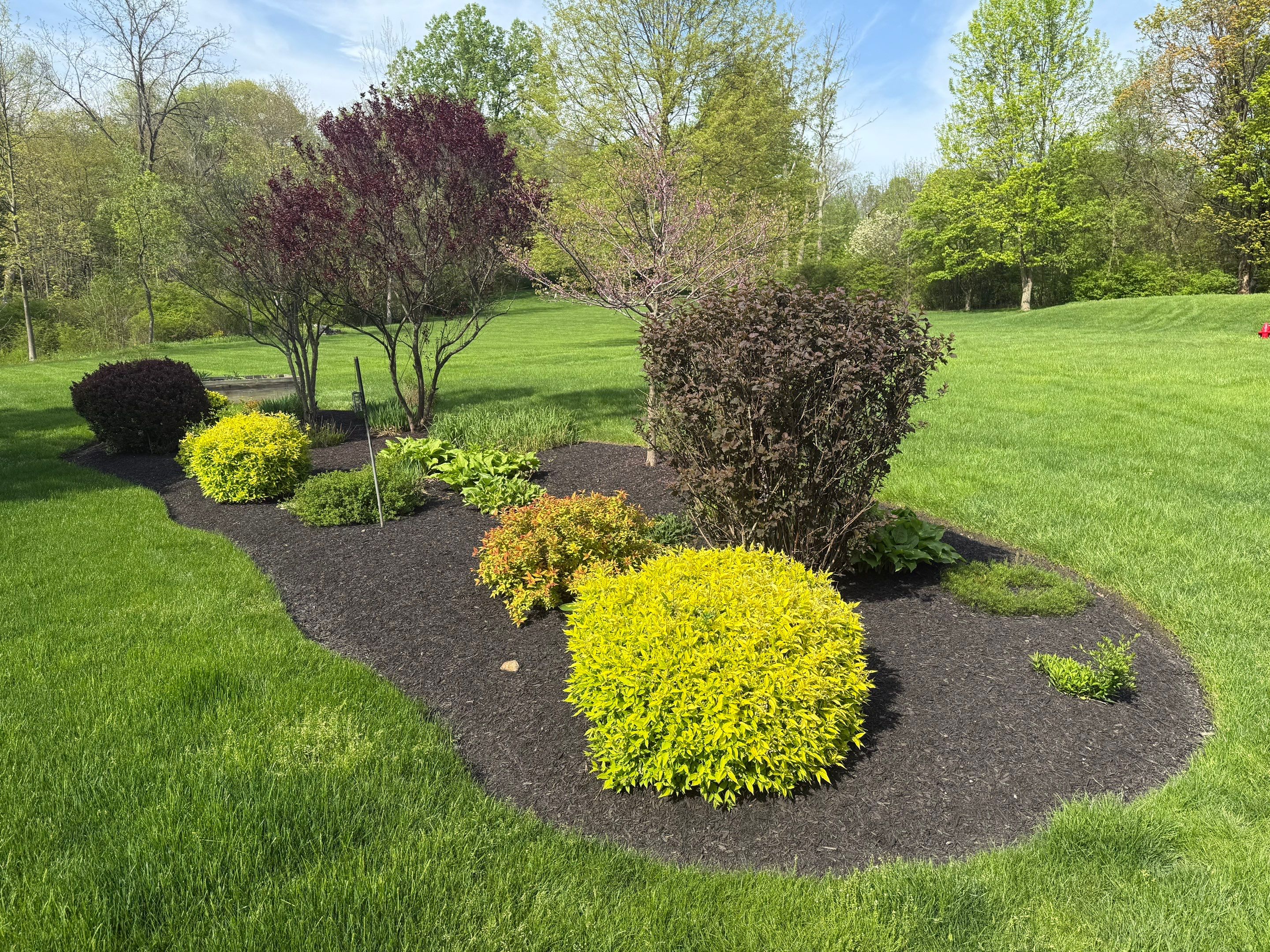 Acreage Maintenance Project by Elm Rose Gardens