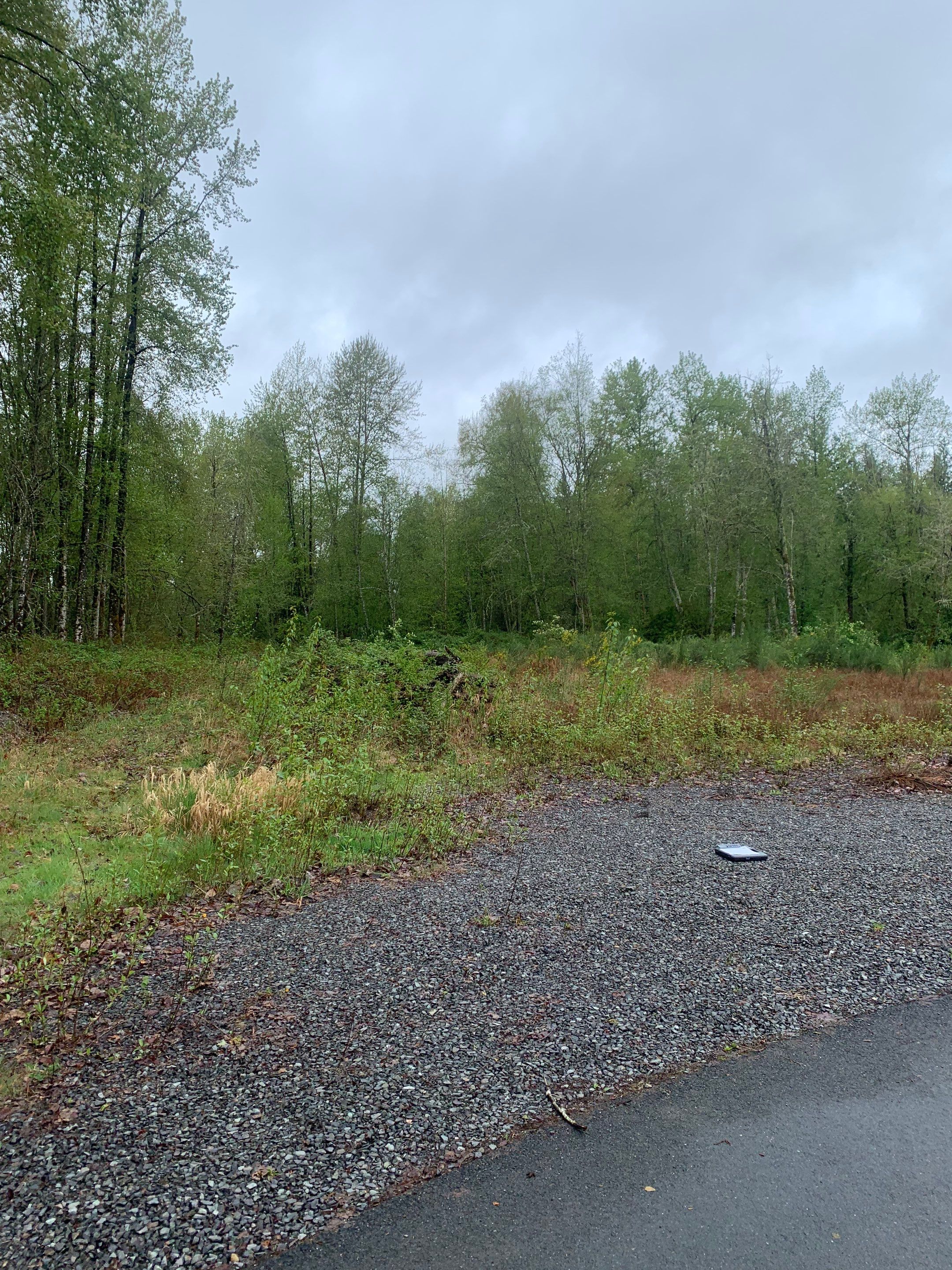 Monolithic Concrete Slab Foundation | Lake Stevens by Jireh Asphalt & Concrete Inc 