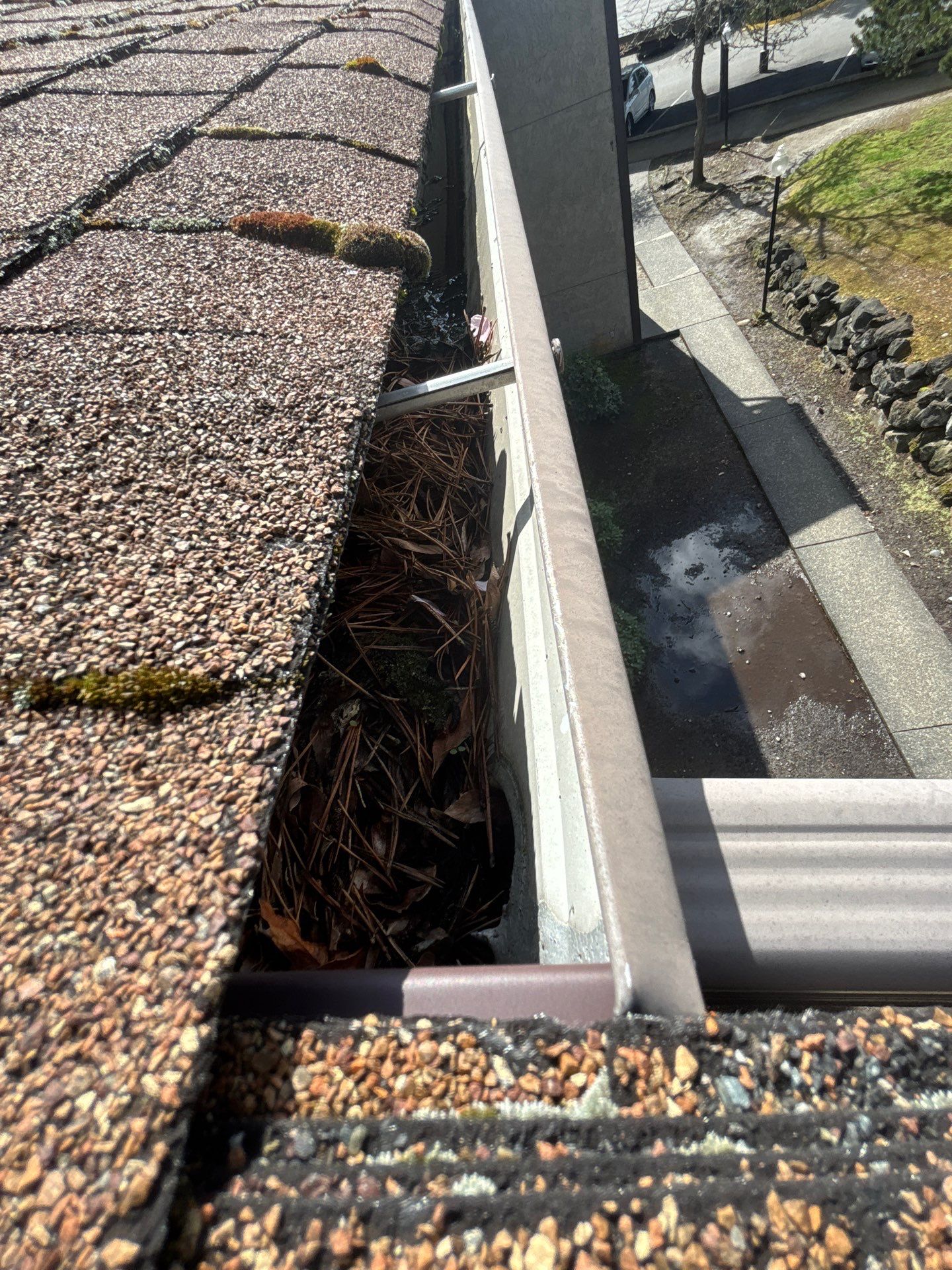 HOA gutter cleaning before photo
