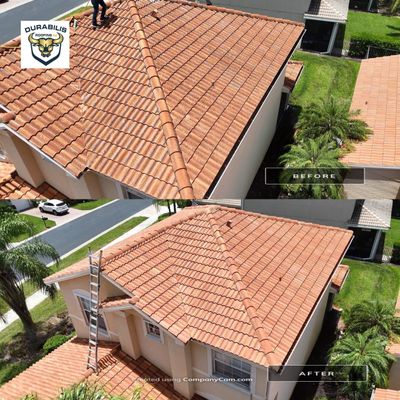 Residential Roofing Soft Wash
