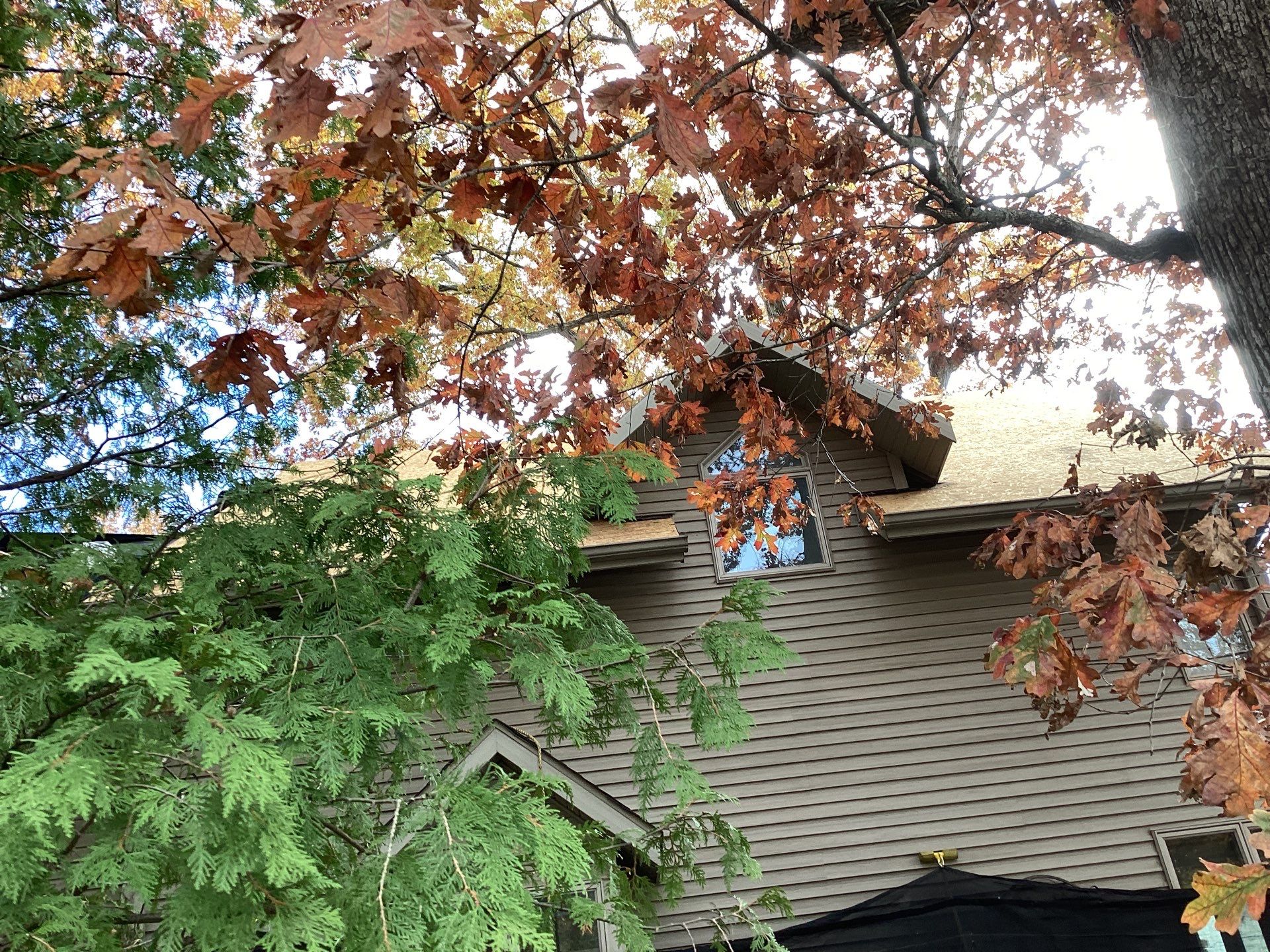 Project in Battle Creek by Better Way Roofing LLC