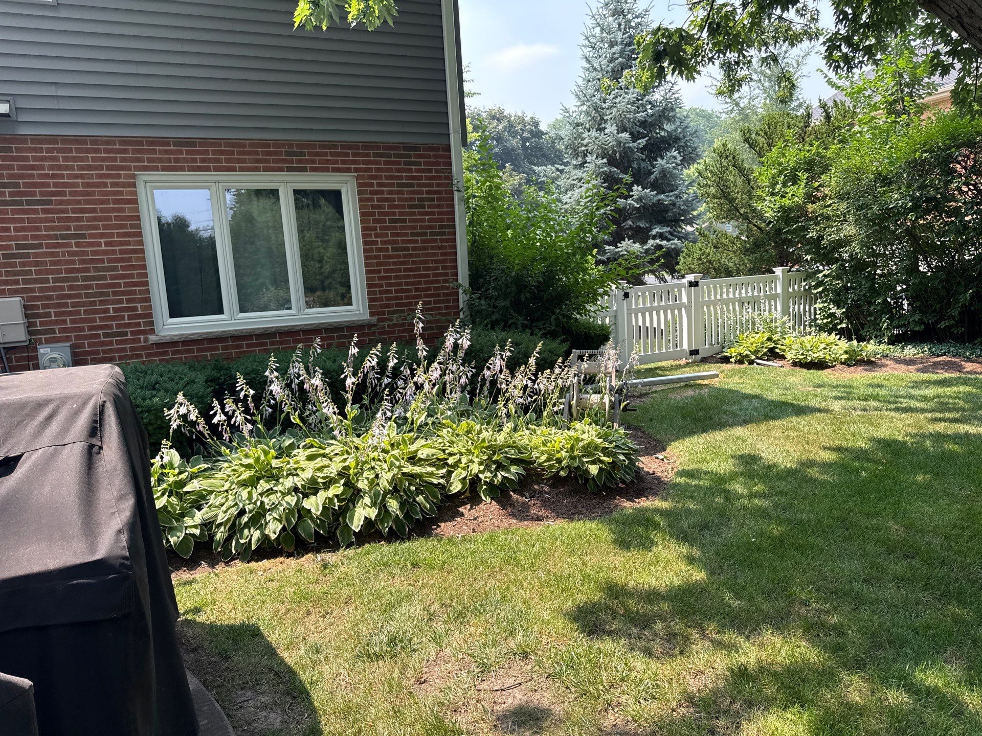 Michael I. - Glenview, IL by A&N 