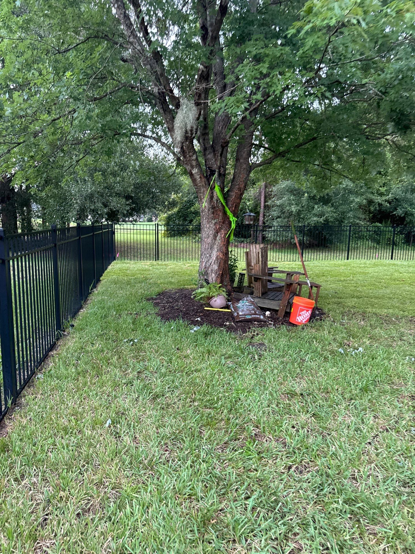 Residential | Sod Installation & Tree Trimming by ProGreen Services