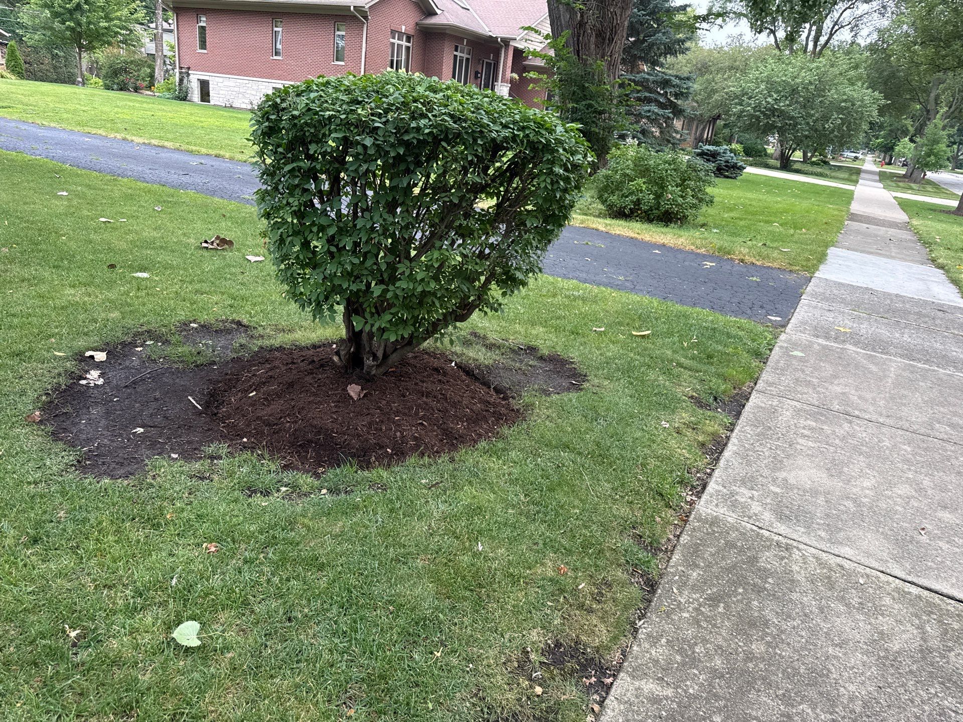 Karen M. - Palatine, IL by A&N