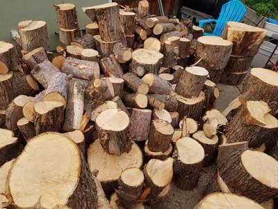 Firewood Delivery  using Seasoned Firewood