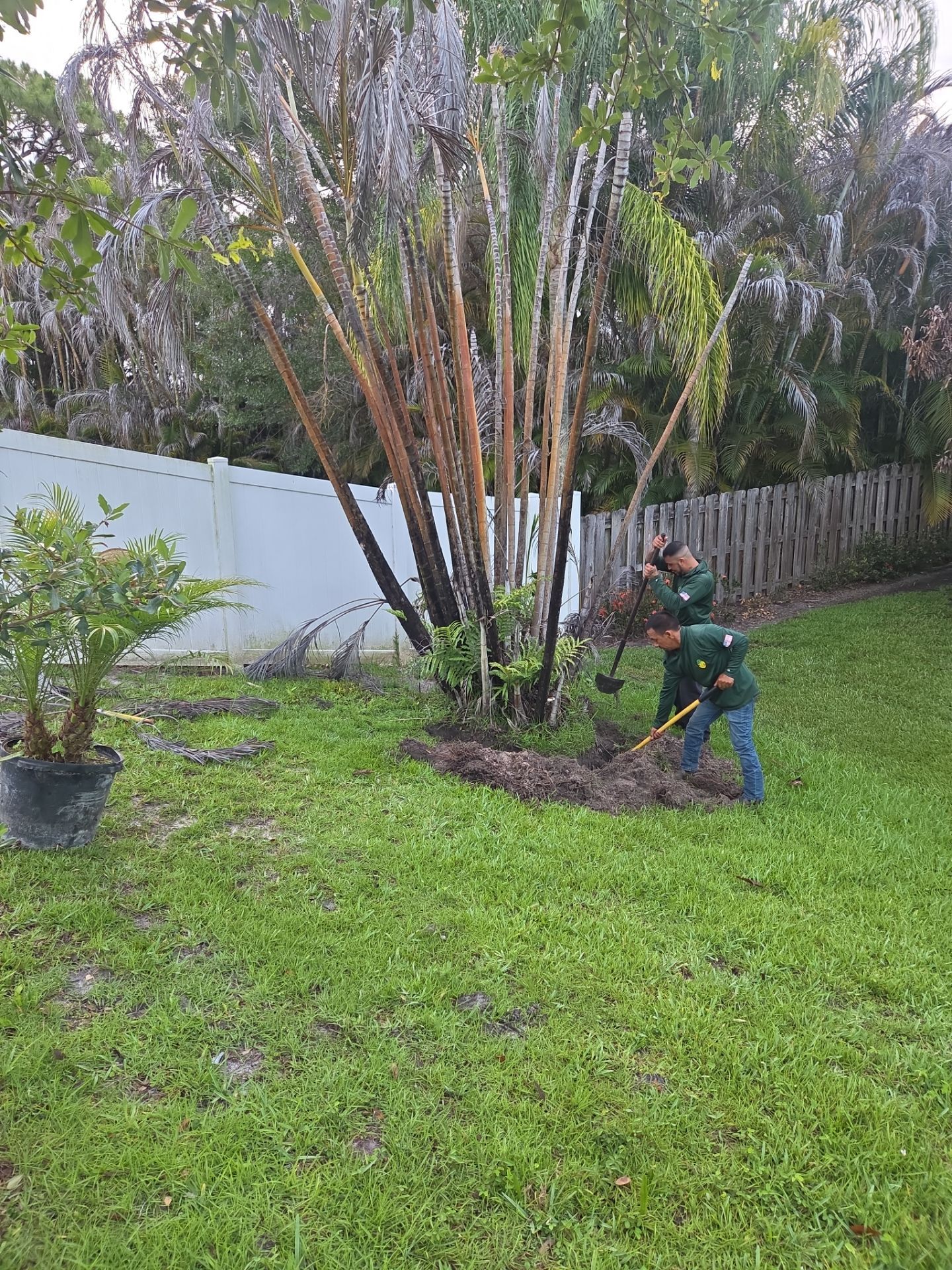 🌿✨ From Problem Areas to Paradise in Palm City! 🏡💧🌴 by Alpha Zeta Enterprises Inc