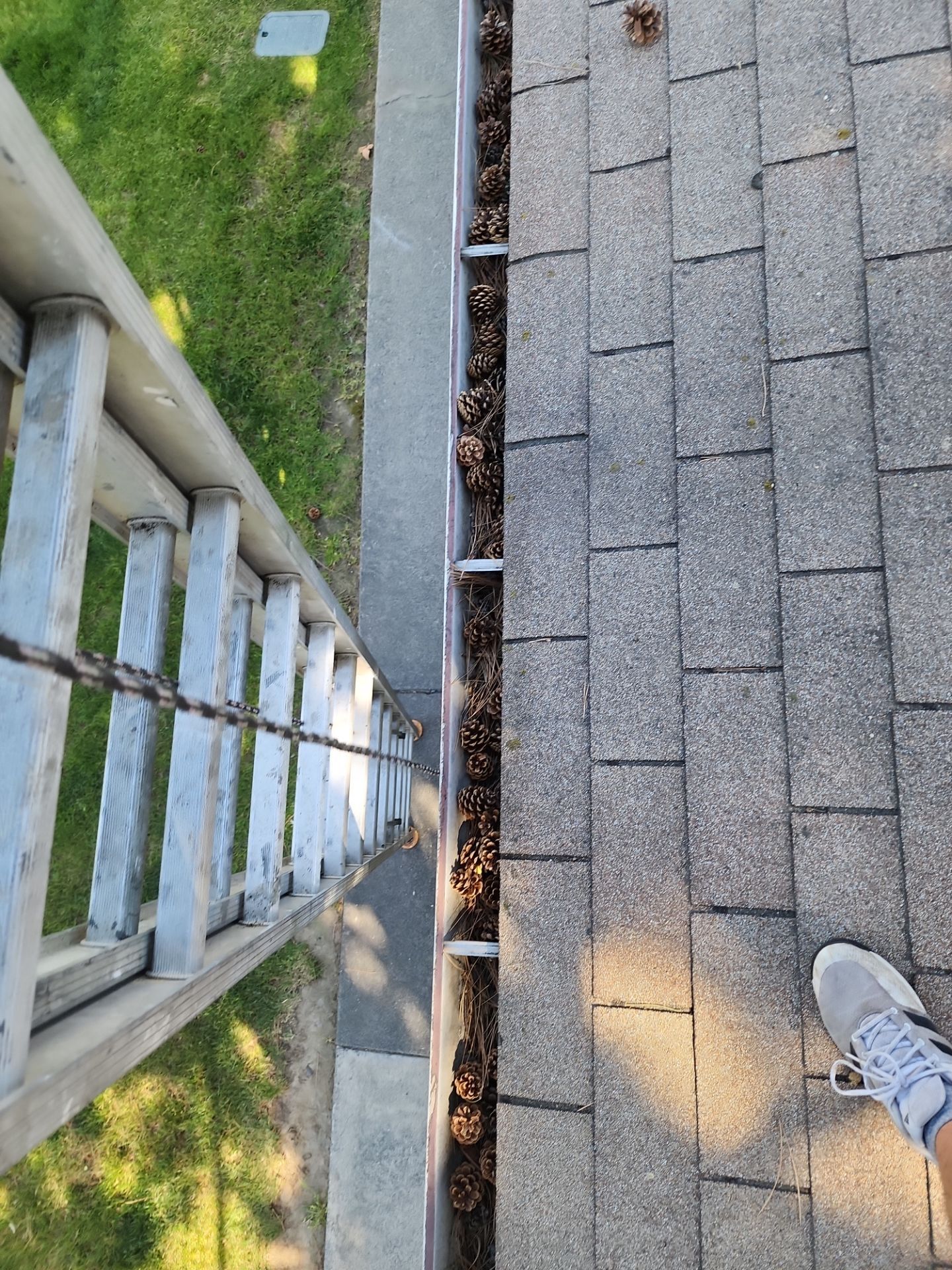 Commercial gutter cleaning Walla Walla, WA before photo with filled gutters