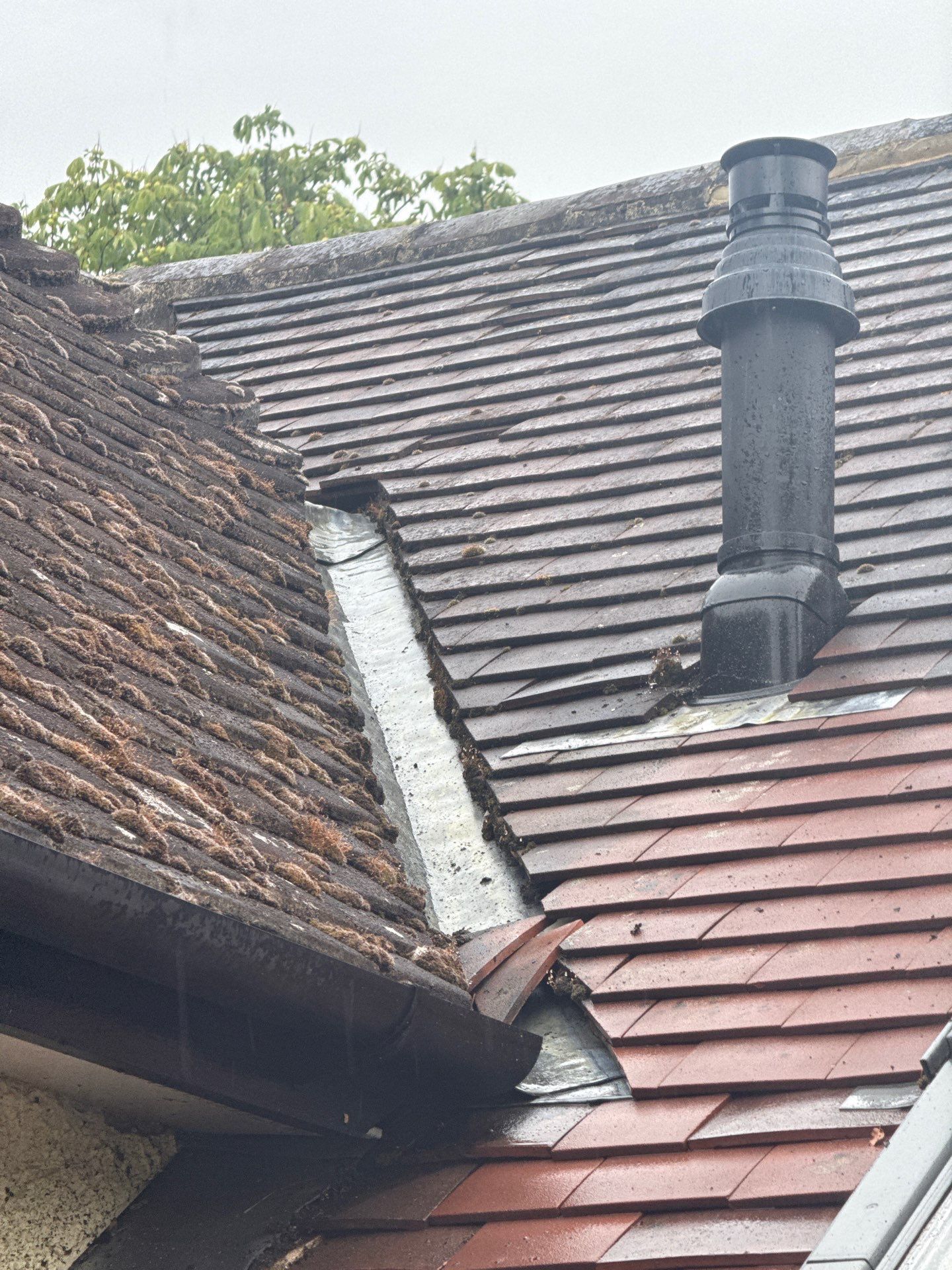 Roof Cleaning by Ges Exterior Cleaning ltd