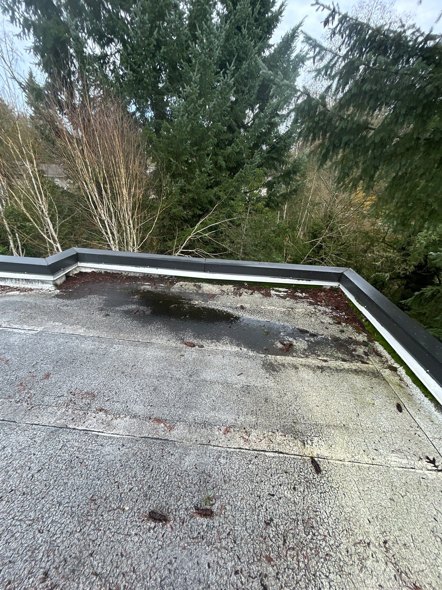 Project in Kirkland by Peaks and Valleys Construction
