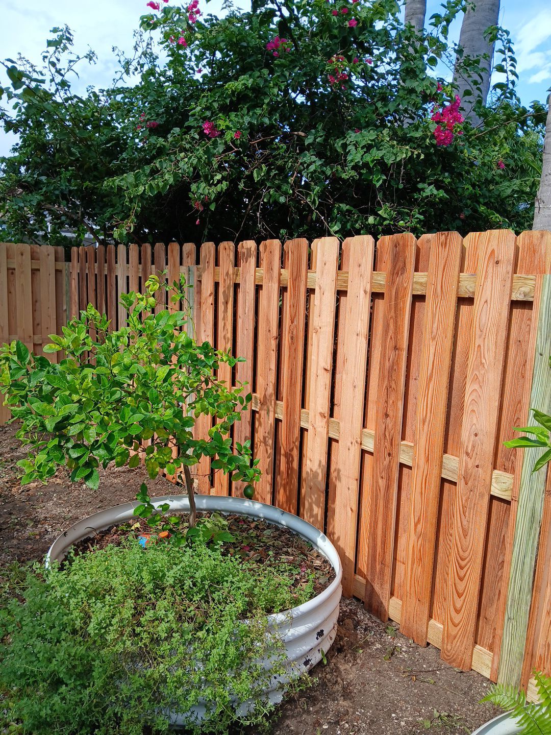 5533 Eastwind Dr  by H&Y Fence