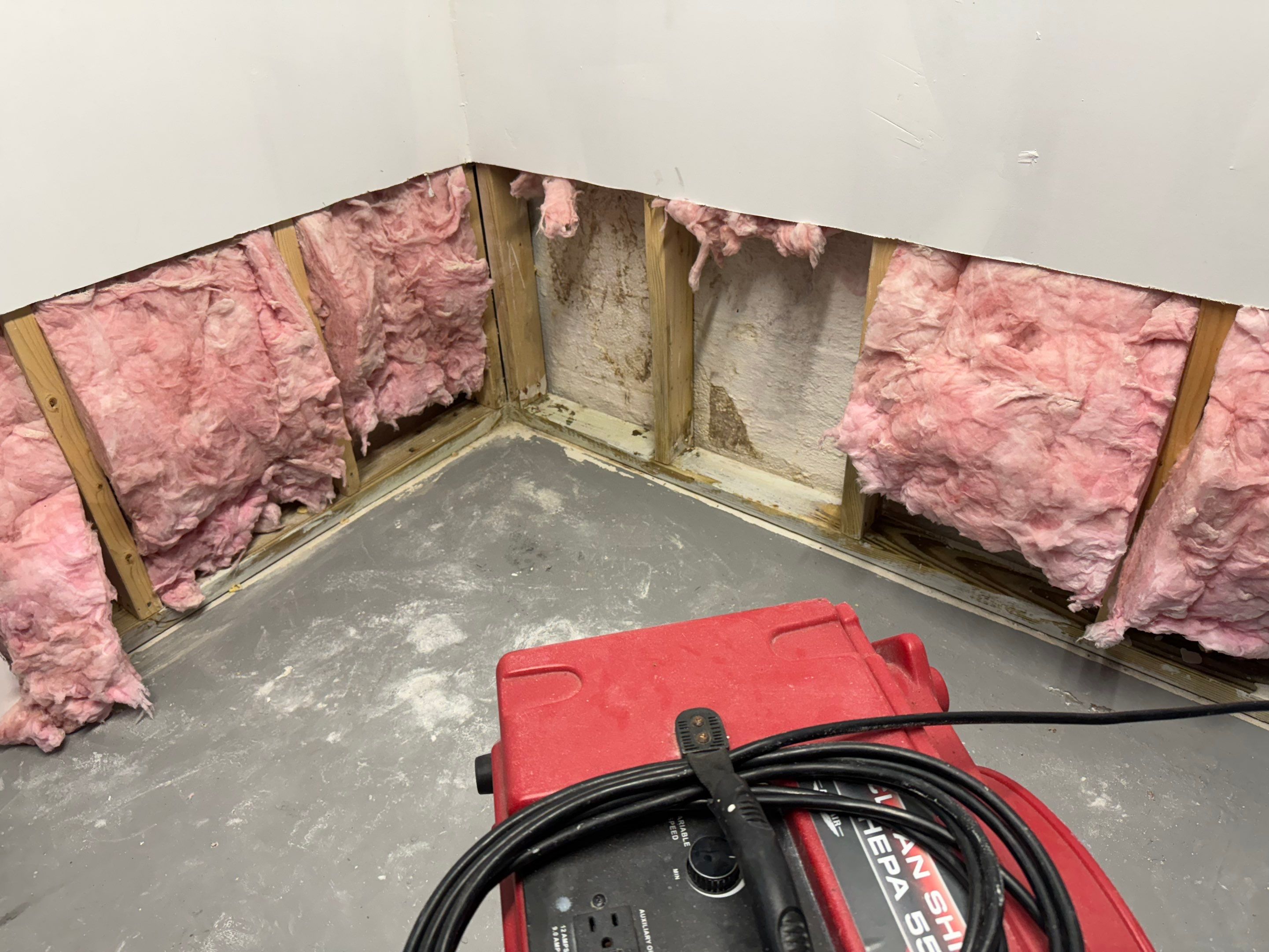 Bedroom Mold Remediation by Home Guarantee, LLC