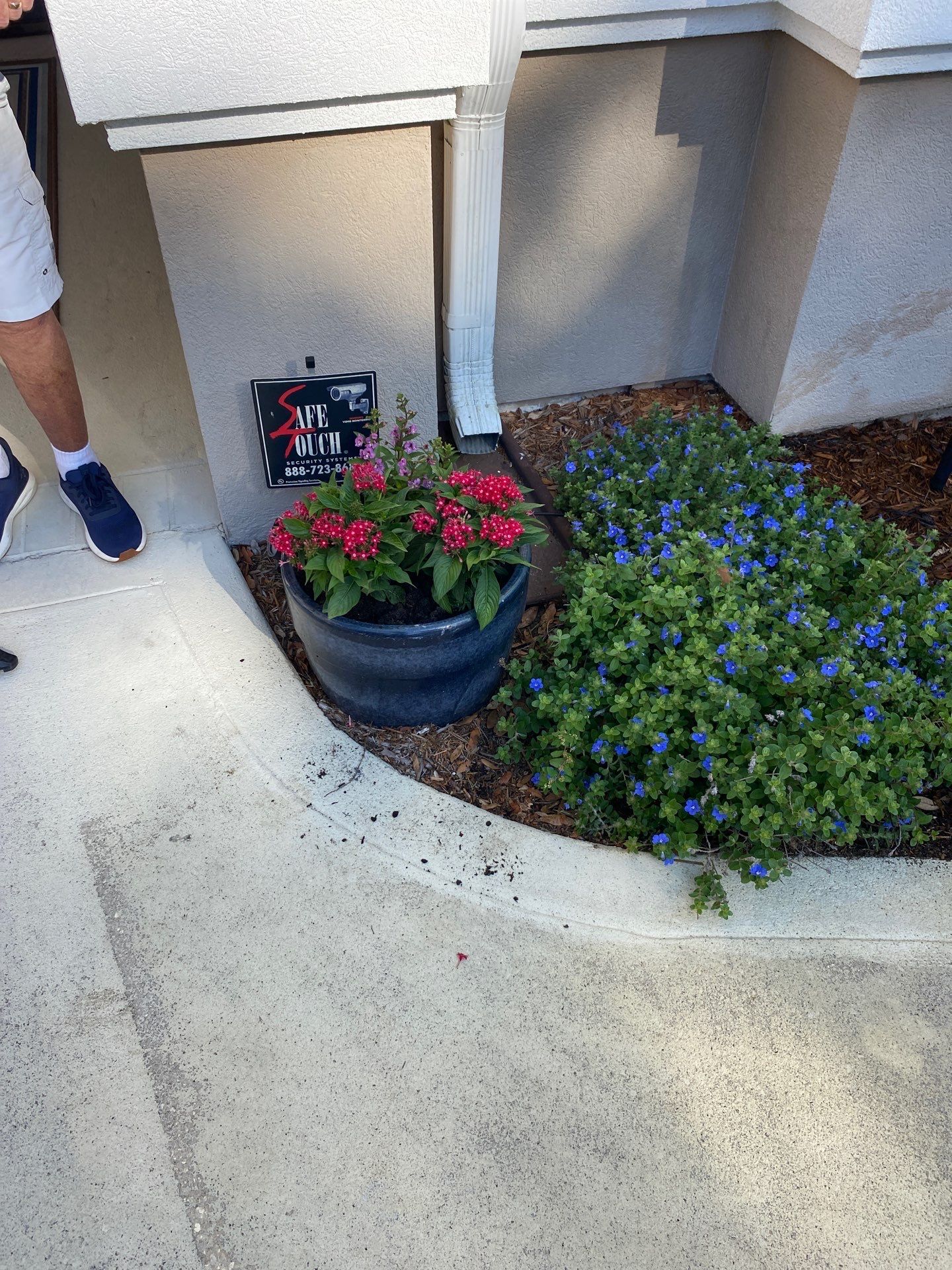 Deerwood Resident | Clean-Up and Sod by ProGreen Services