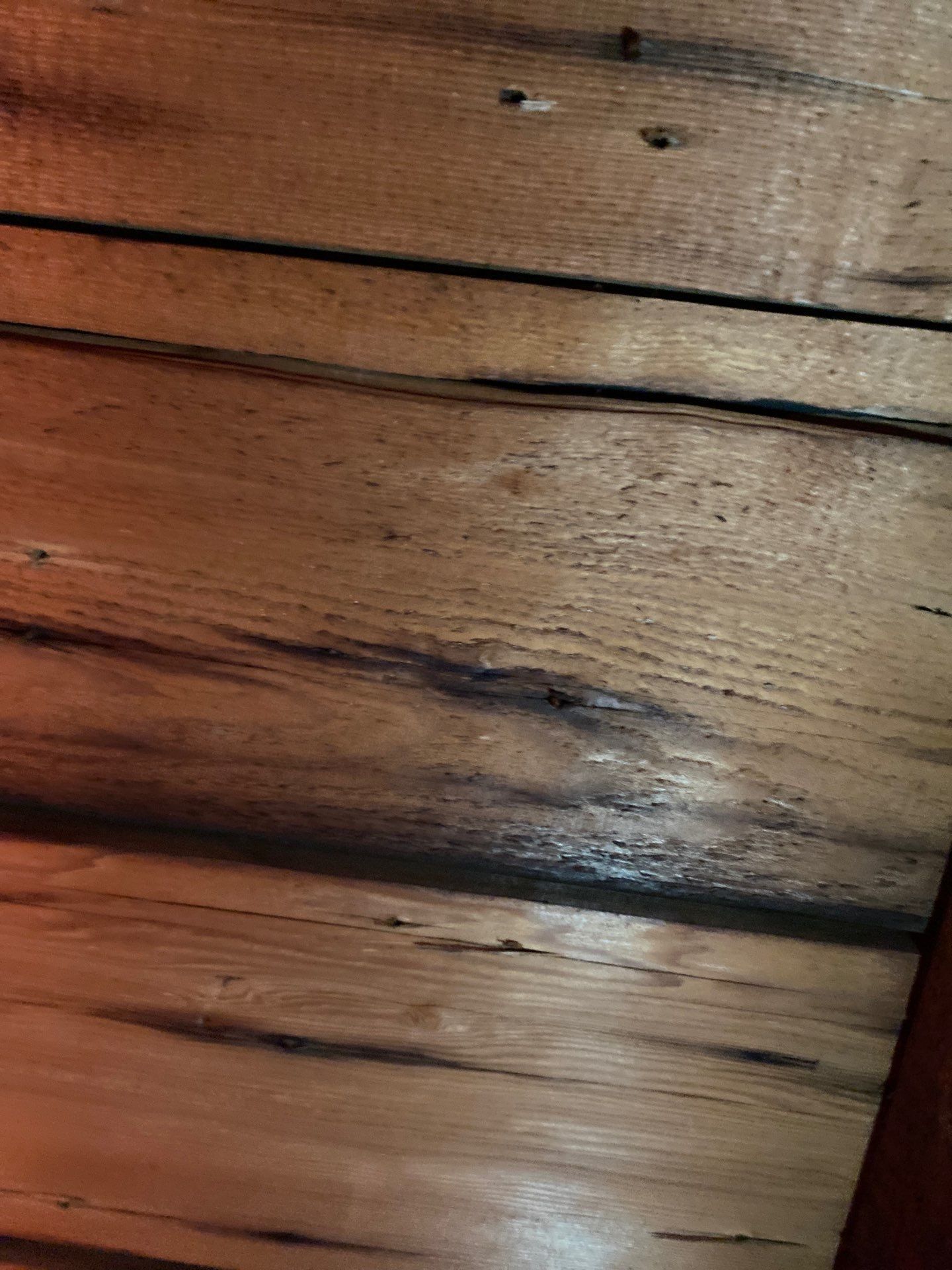 Roofing | Chelmsford by Mighty Dog Roofing of Greater Middlesex County