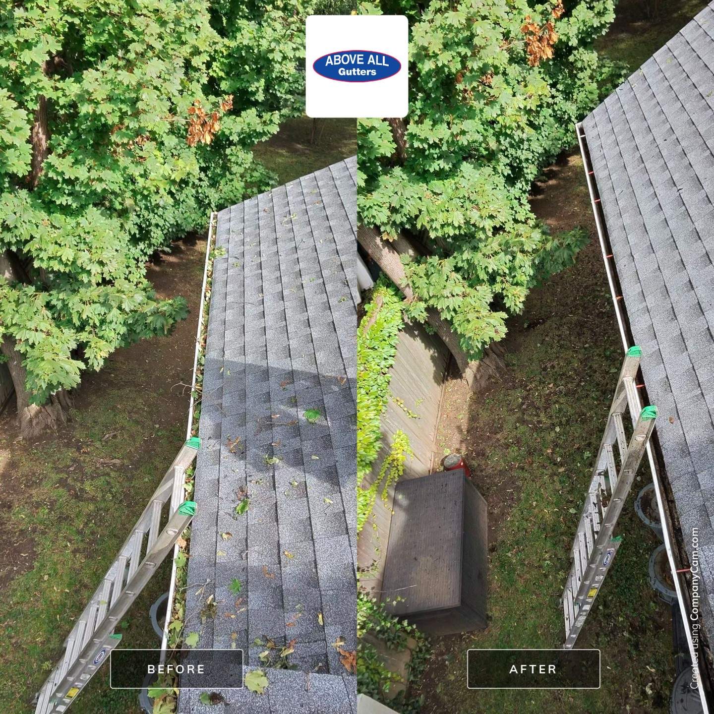 Gutter and Roof Cleaning for Residential Property in Great Neck by Above All Gutters 
