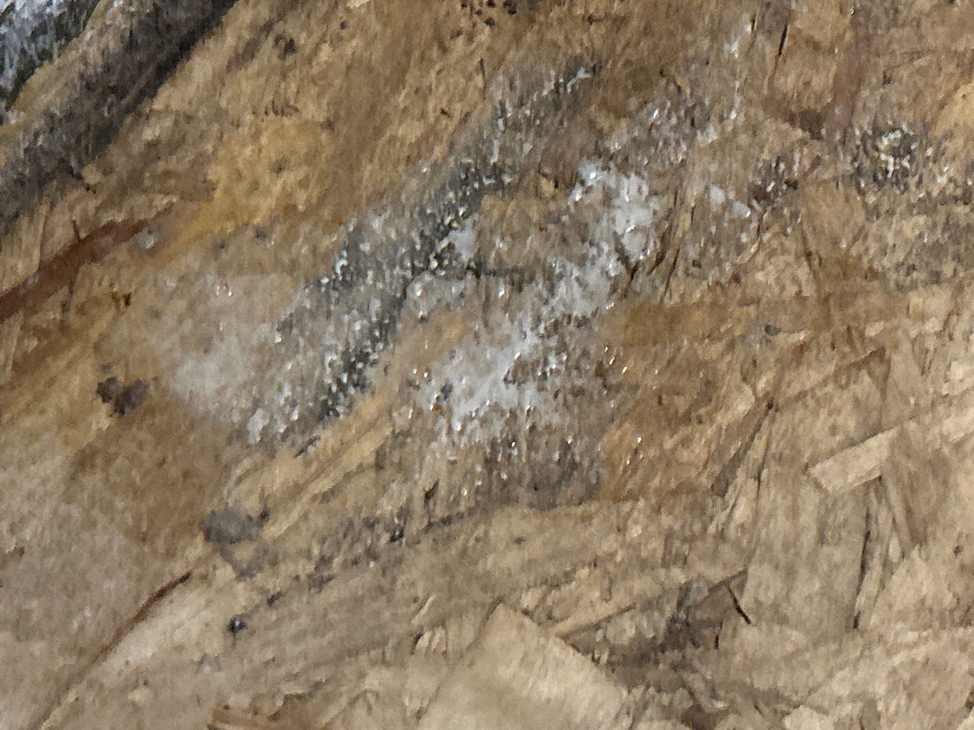 Water Damage Restoration by Accountable Home Services