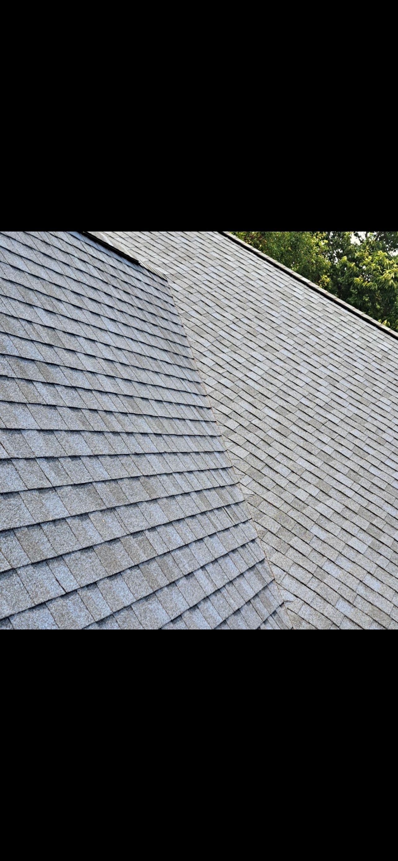 Gloria Dillon by Silver Leaf Contracting 