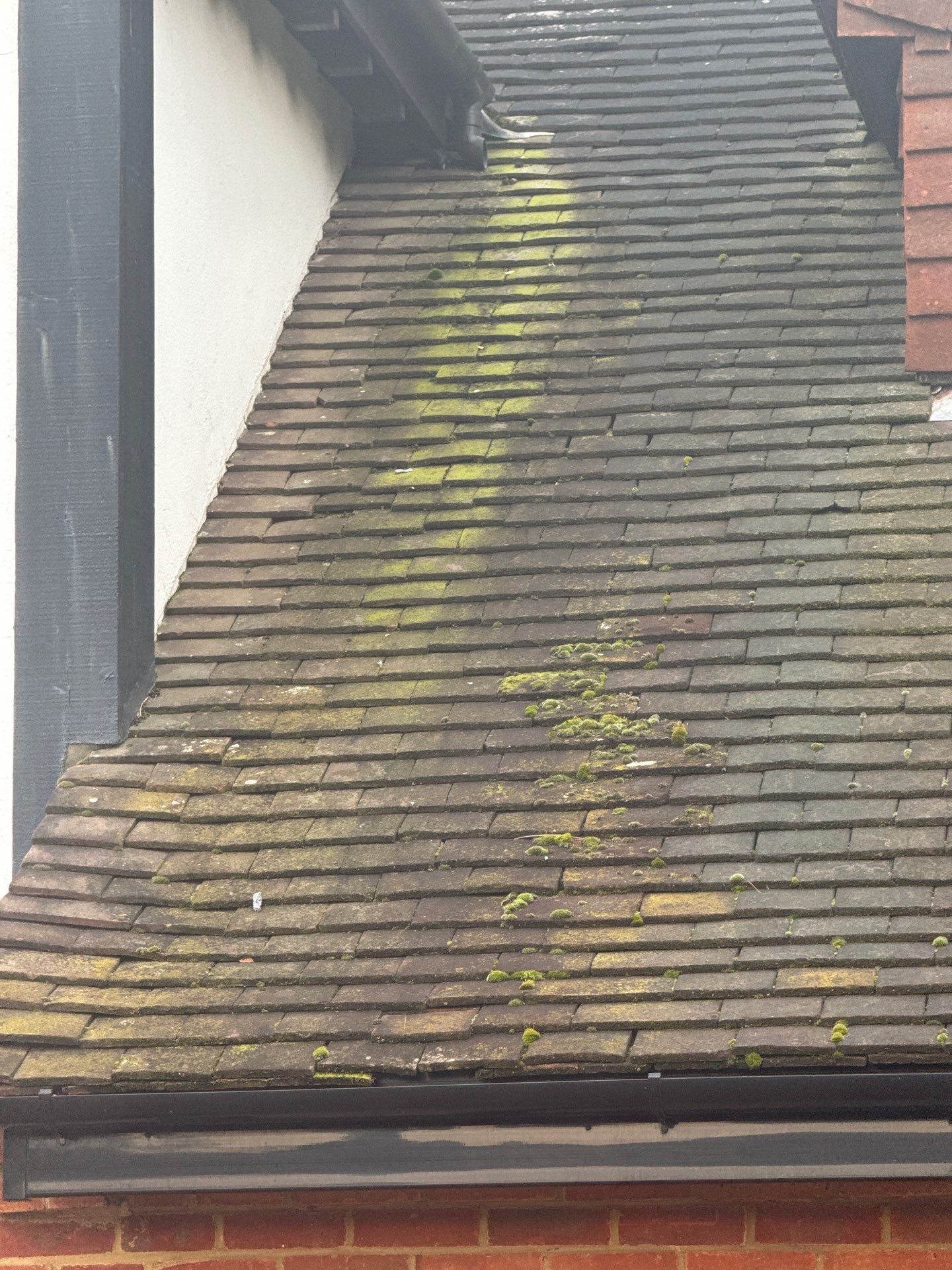Exterior Clean - Roof - Patio - Driveway using Mosmatic FSC and Biocide by Ges Exterior Cleaning ltd
