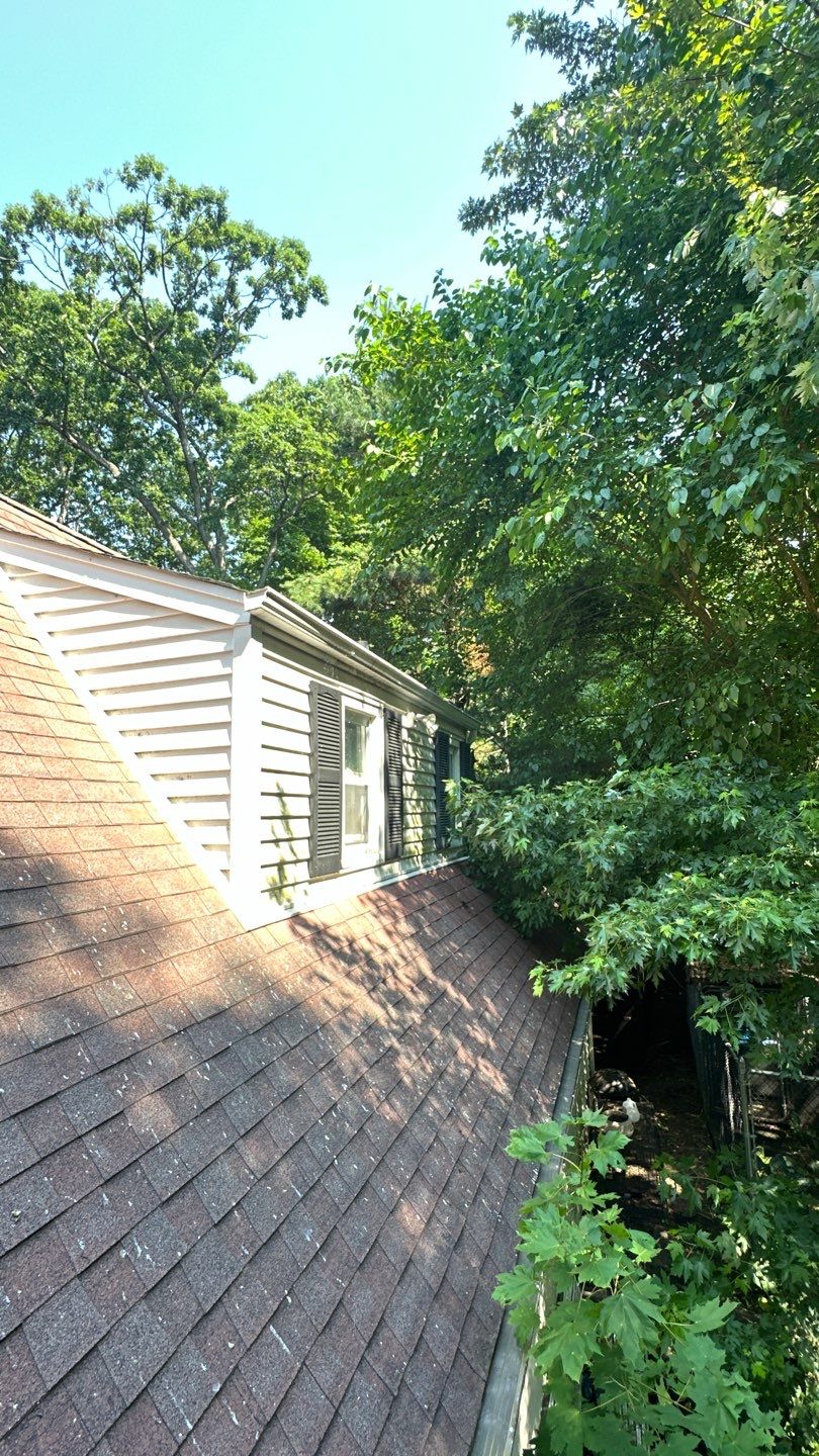 Very overdue gutter cleaning and screening by Above All Gutters 