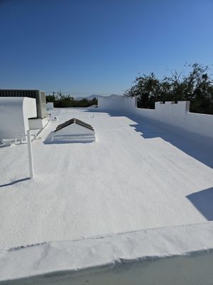 Spray Polyurethane Foam