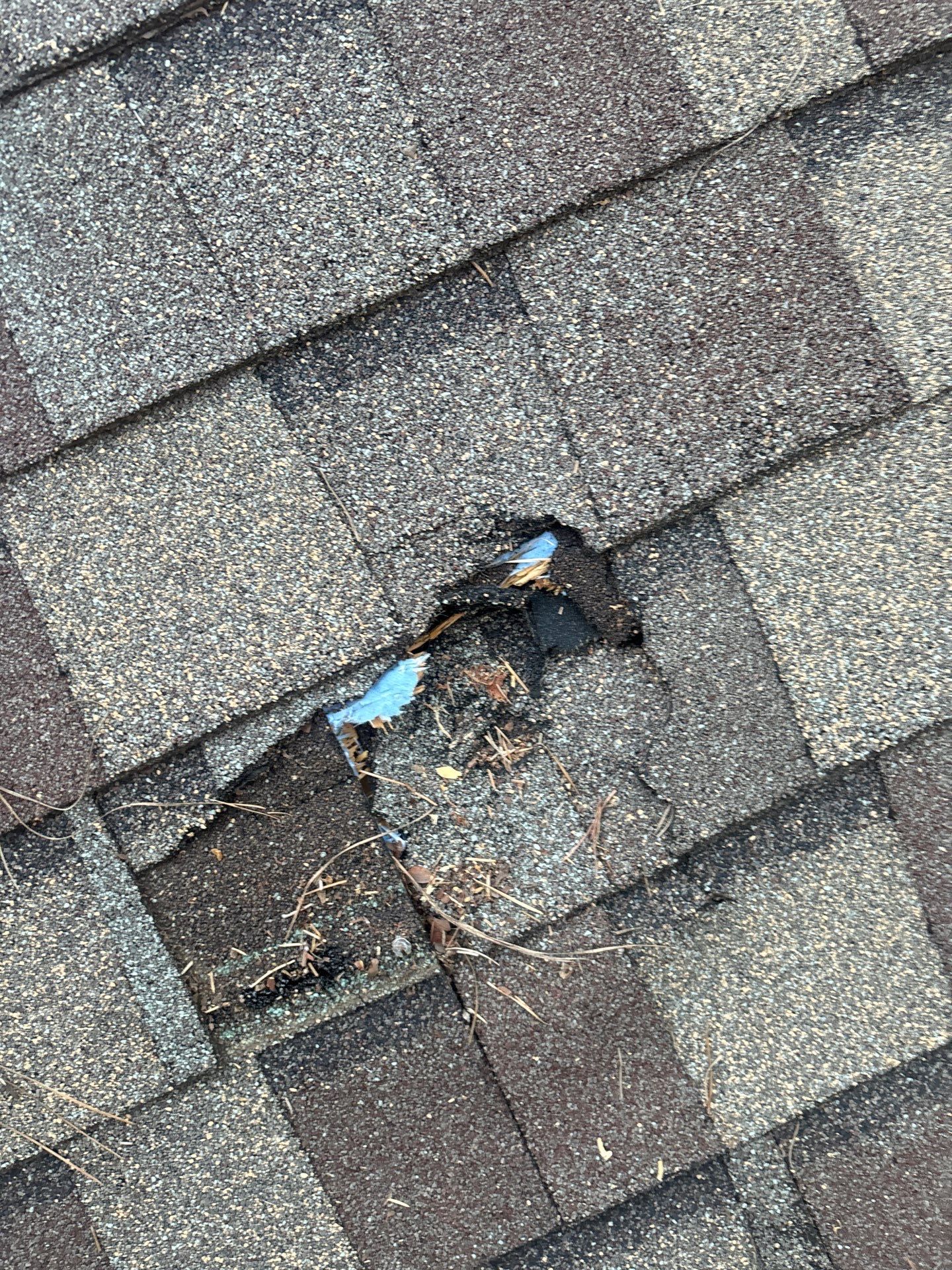 Roof Repair Spring by Roof Repair Company