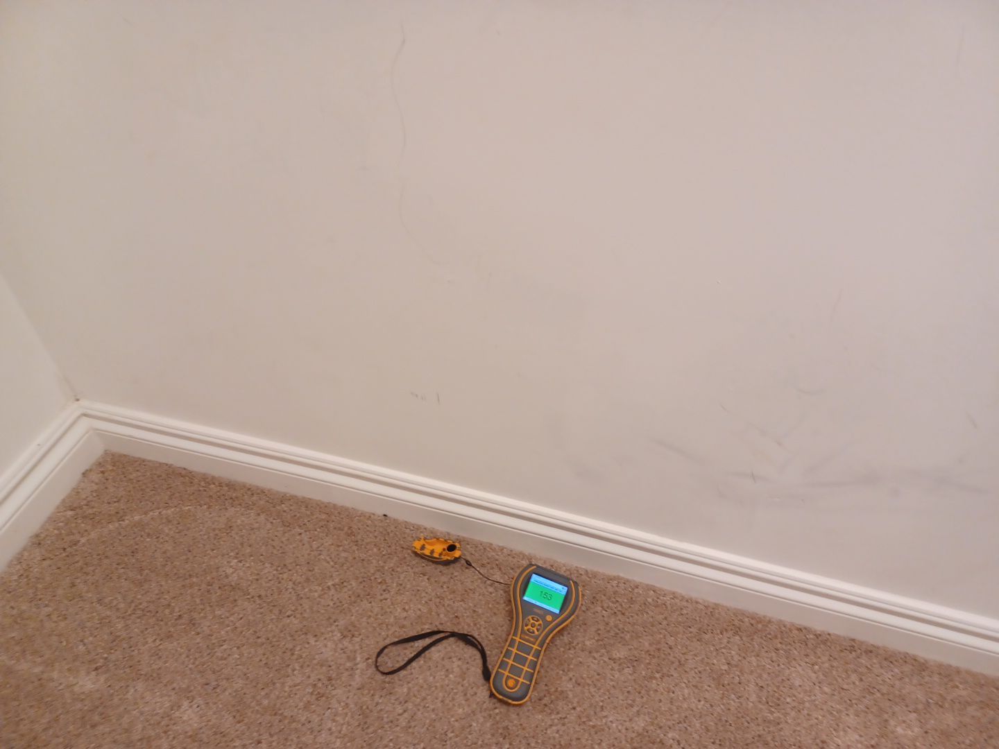 Project in West Bloomfield Township by EzDry Water Mitigation & Property Restoration