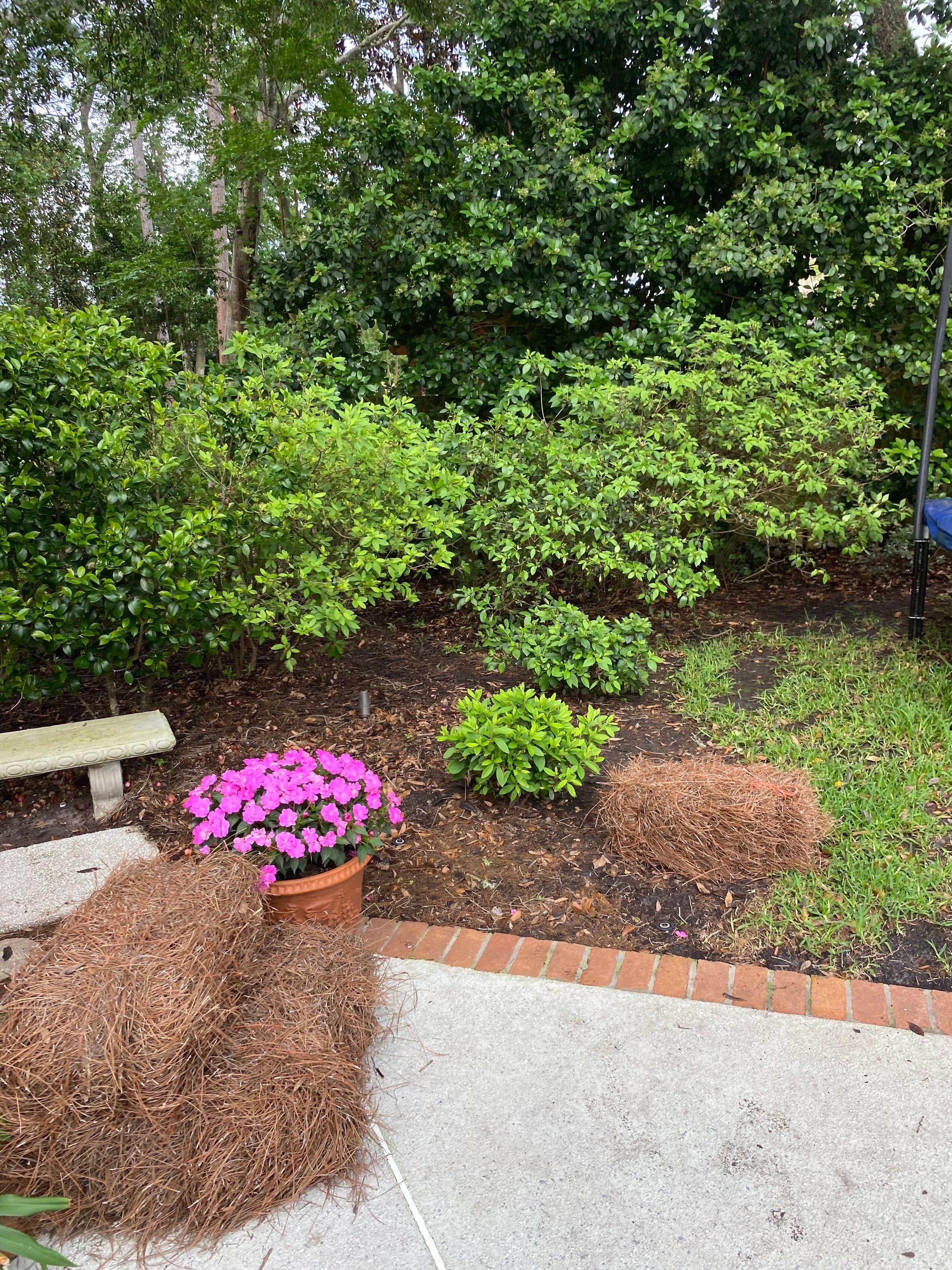 Deerwood Resident | Pine Straw Installation by ProGreen Services
