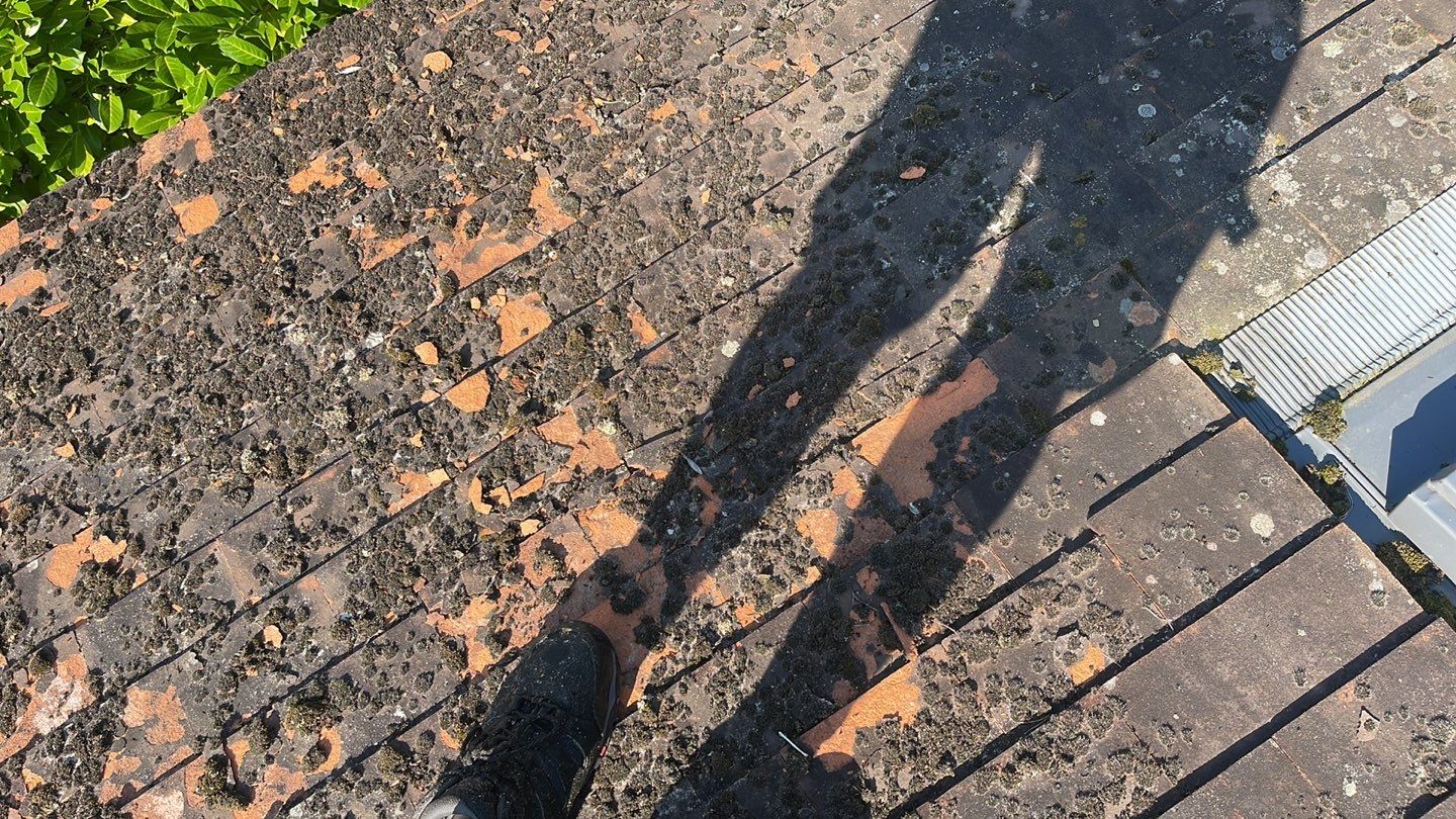 Roof Clean  - Moss Removal - Gutter Clean using Honda 15lpm Low Pressure Washing Machine by Ges Exterior Cleaning ltd