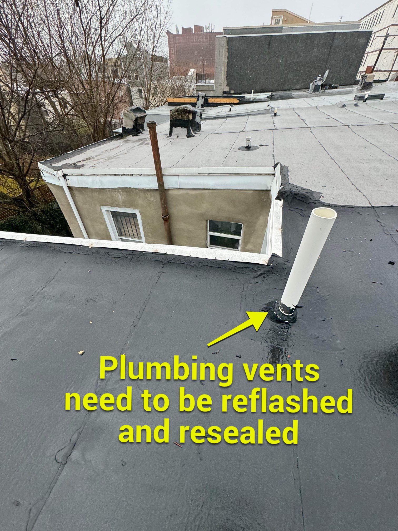 Modified Bitumen Membrane by Reimagine Roofing