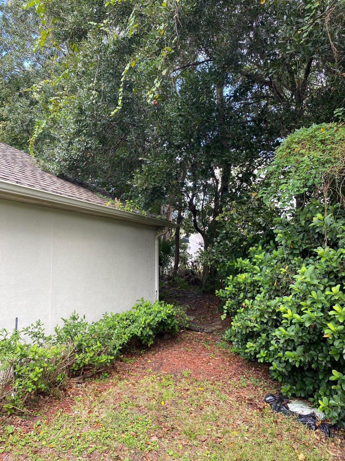 Deerwood Residence | Property Clean Up  by ProGreen Services