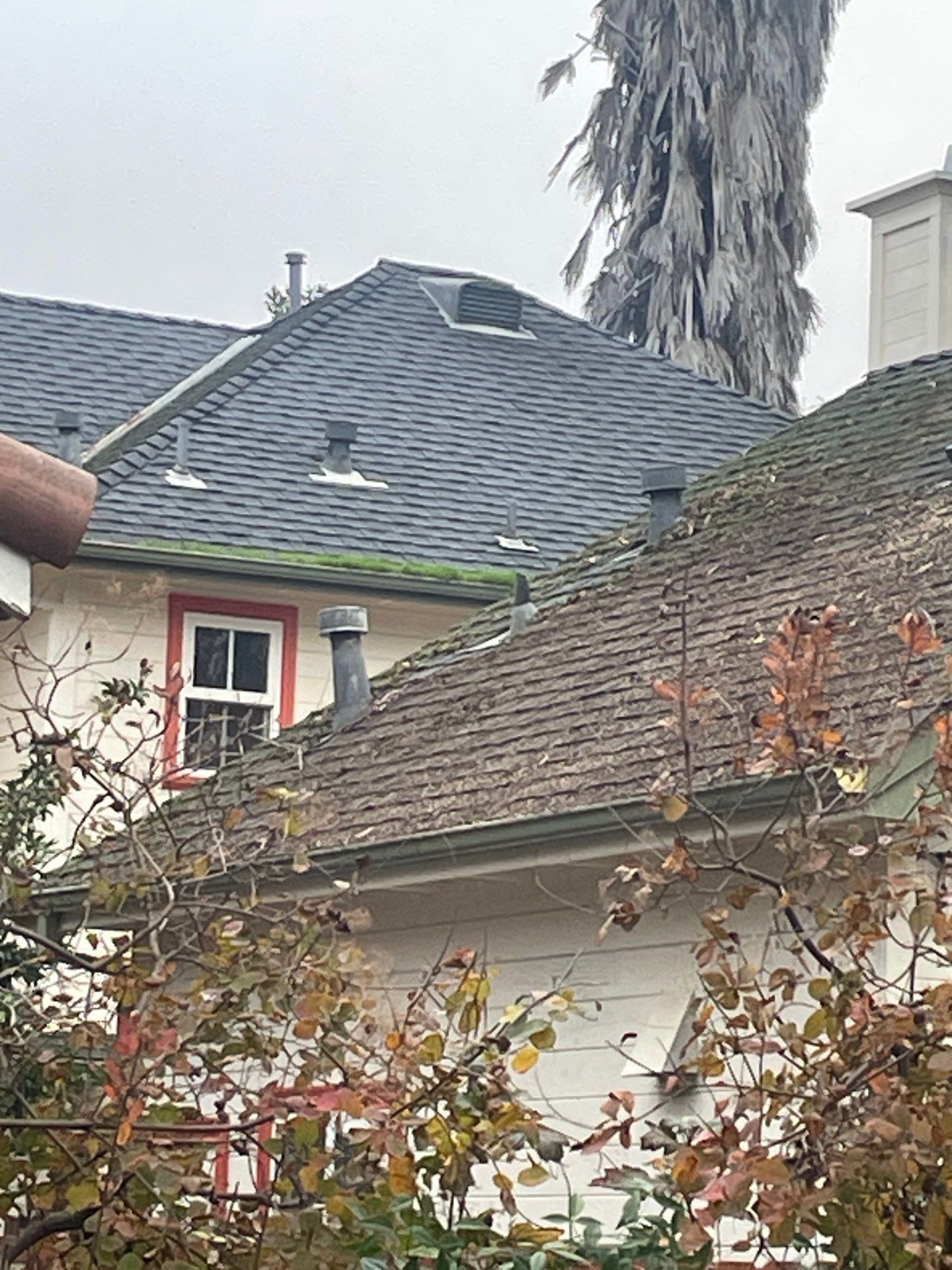 Roof Rejuvenation using Roof Maxx Treatment by Roof Maxx of Folsom