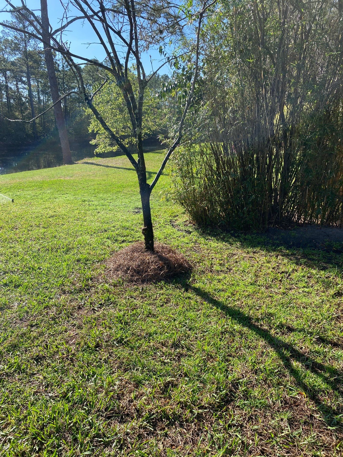 Deerwood Resident | Landscaping by ProGreen Services