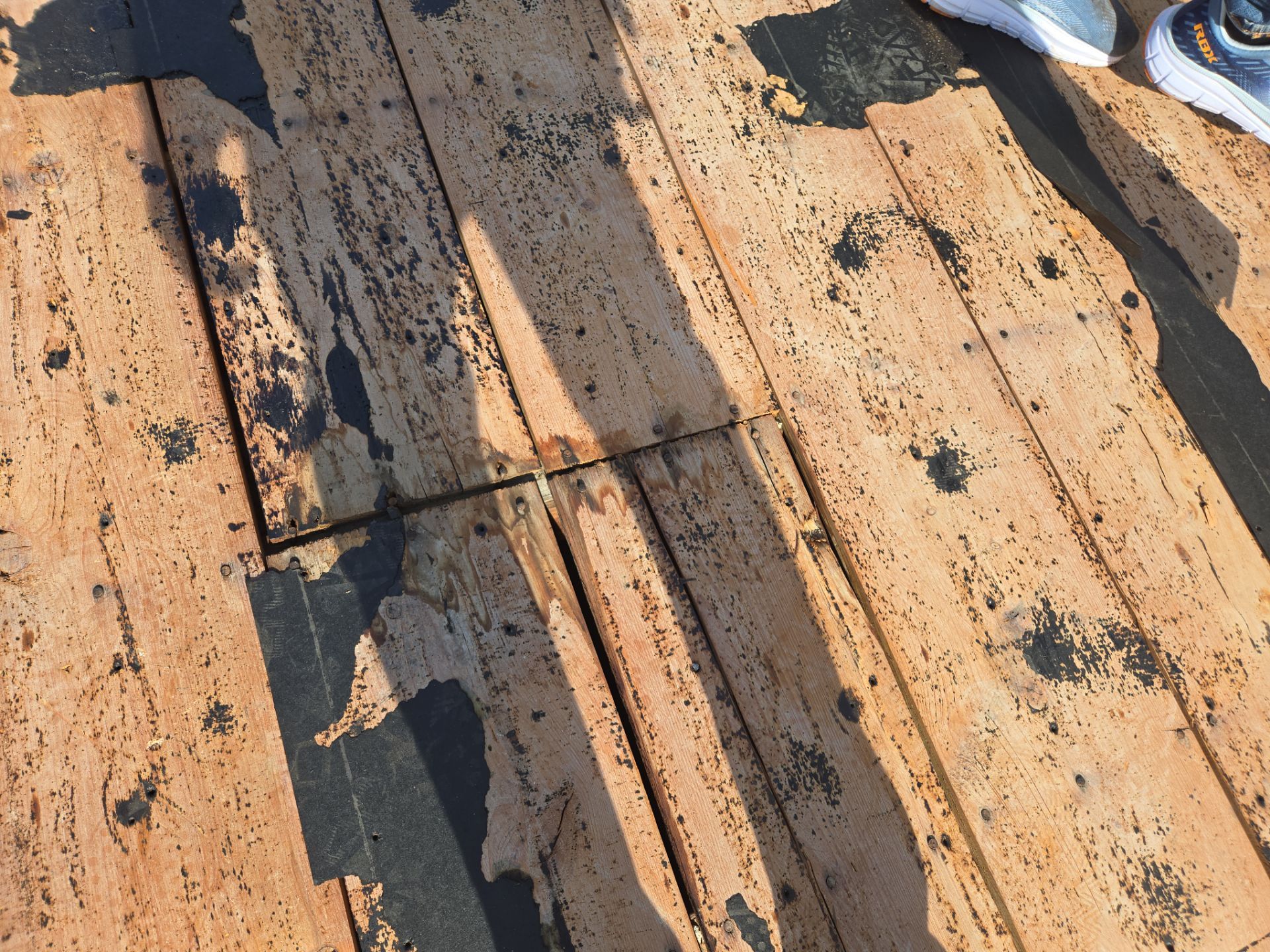 Project in St. Petersburg 33713 by Mitchell Roofing Company LLC 