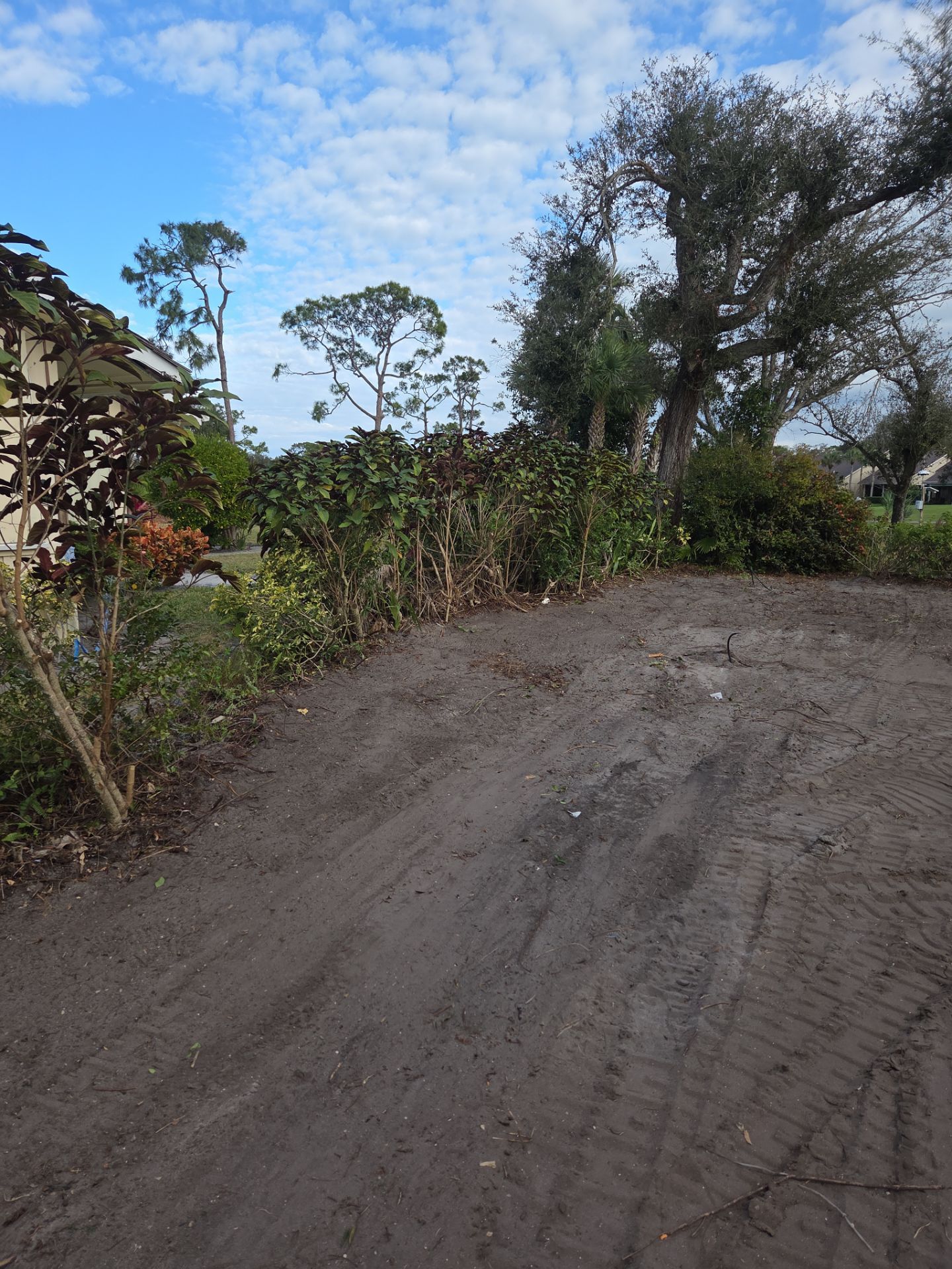Landscaping and Irrigation for New Construction in Mariner Sands by Alpha Zeta Enterprises Inc