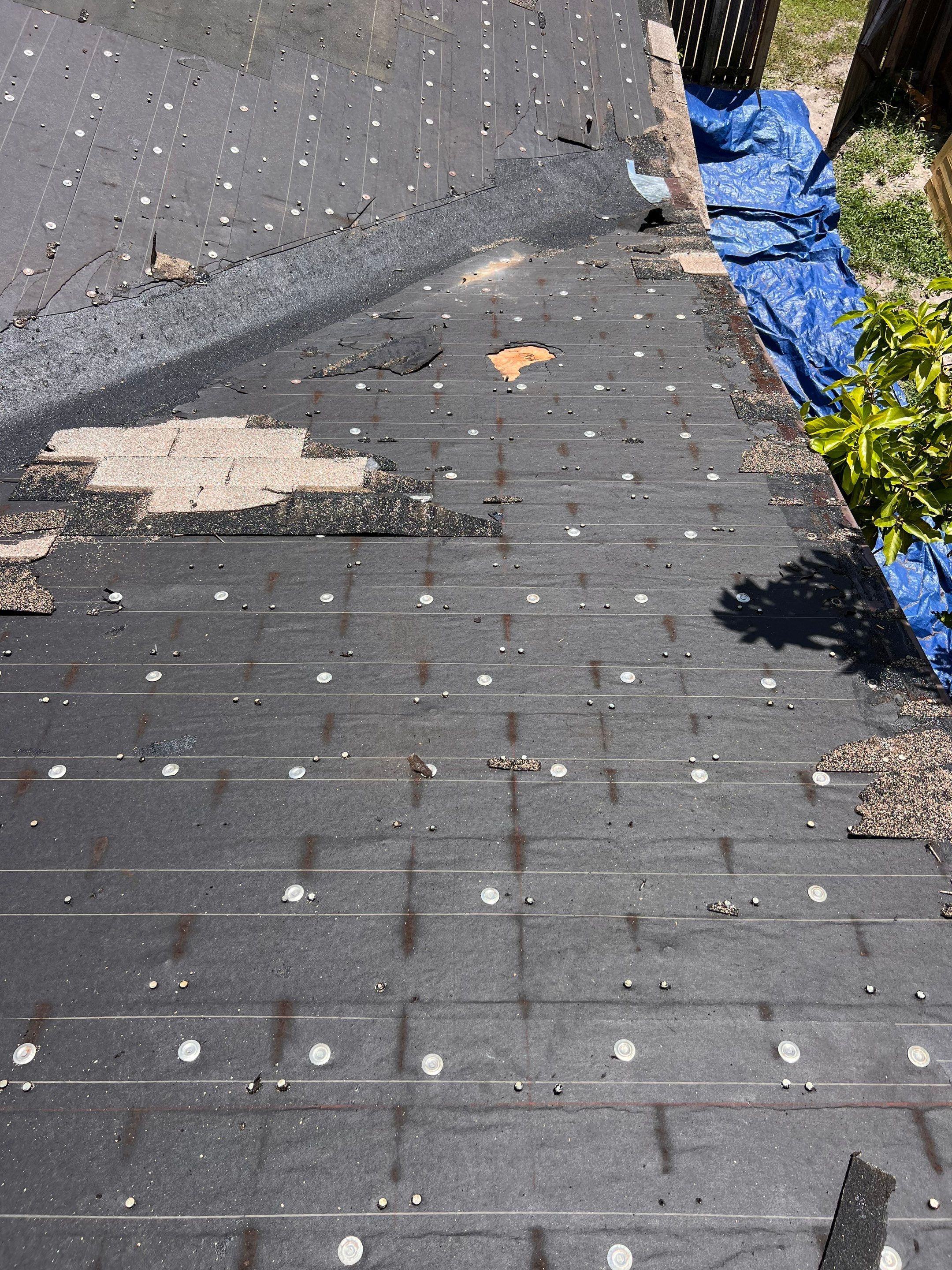 Project in St. Petersburg 33705 by Mitchell Roofing Company LLC
