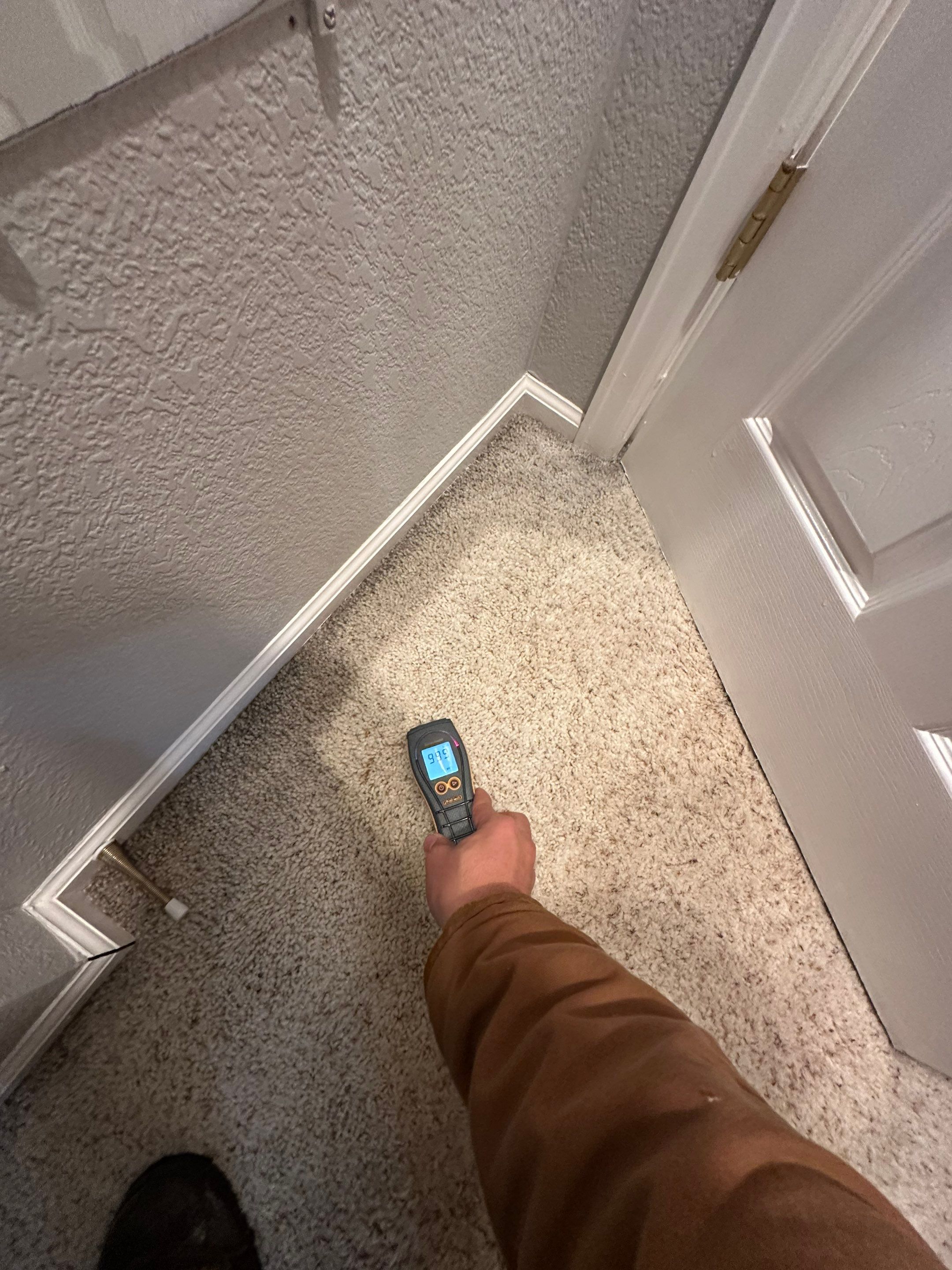 Water Damage in Highlands Ranch by Alpha Restoration 