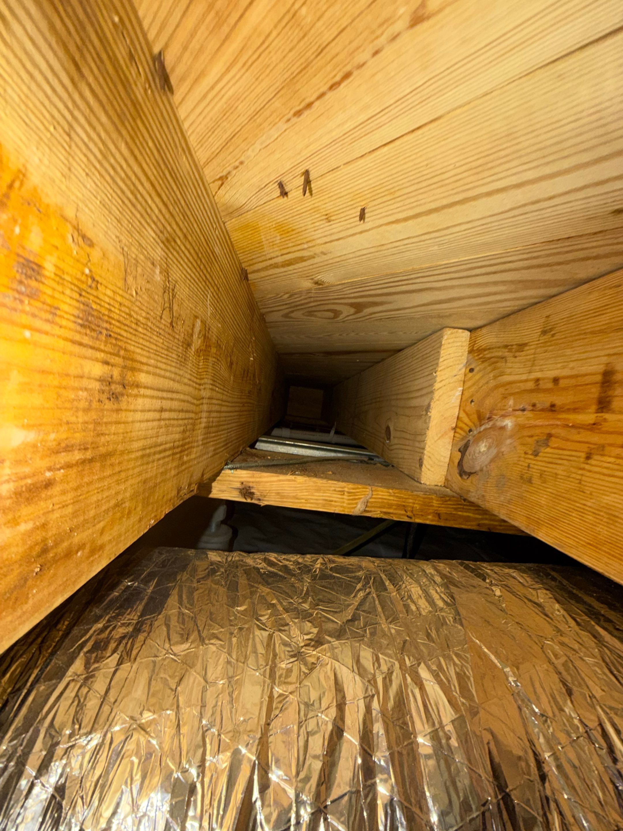 Project in Smithfield by Patriot Crawl Space Repairs