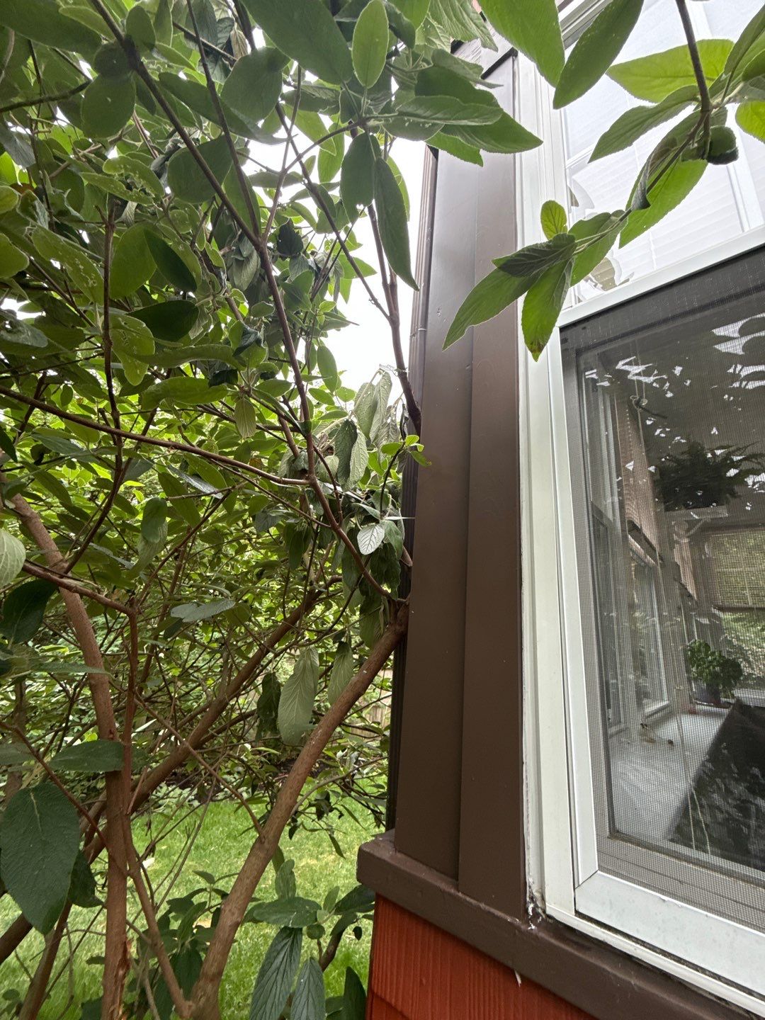 Before and After - Interior Painting  by EXCELLENCE | CARTO