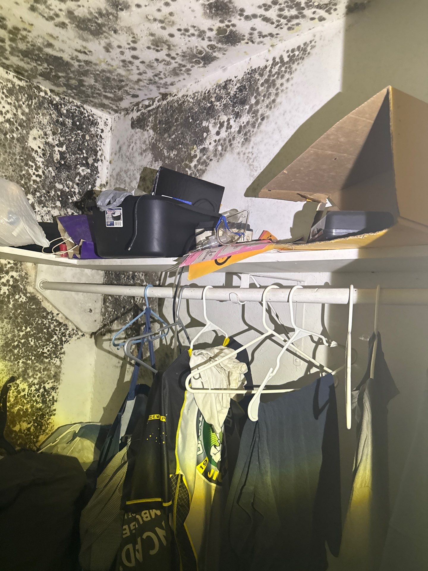 The Slate by Disaster Recovery Consultants