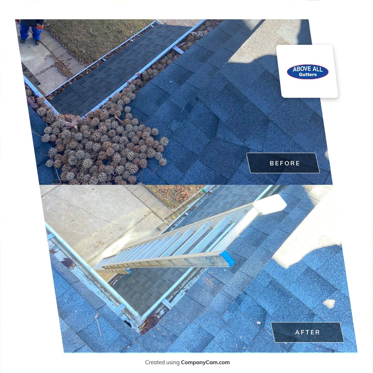 Gutters Clogged with Itchy balls by Above All Gutters