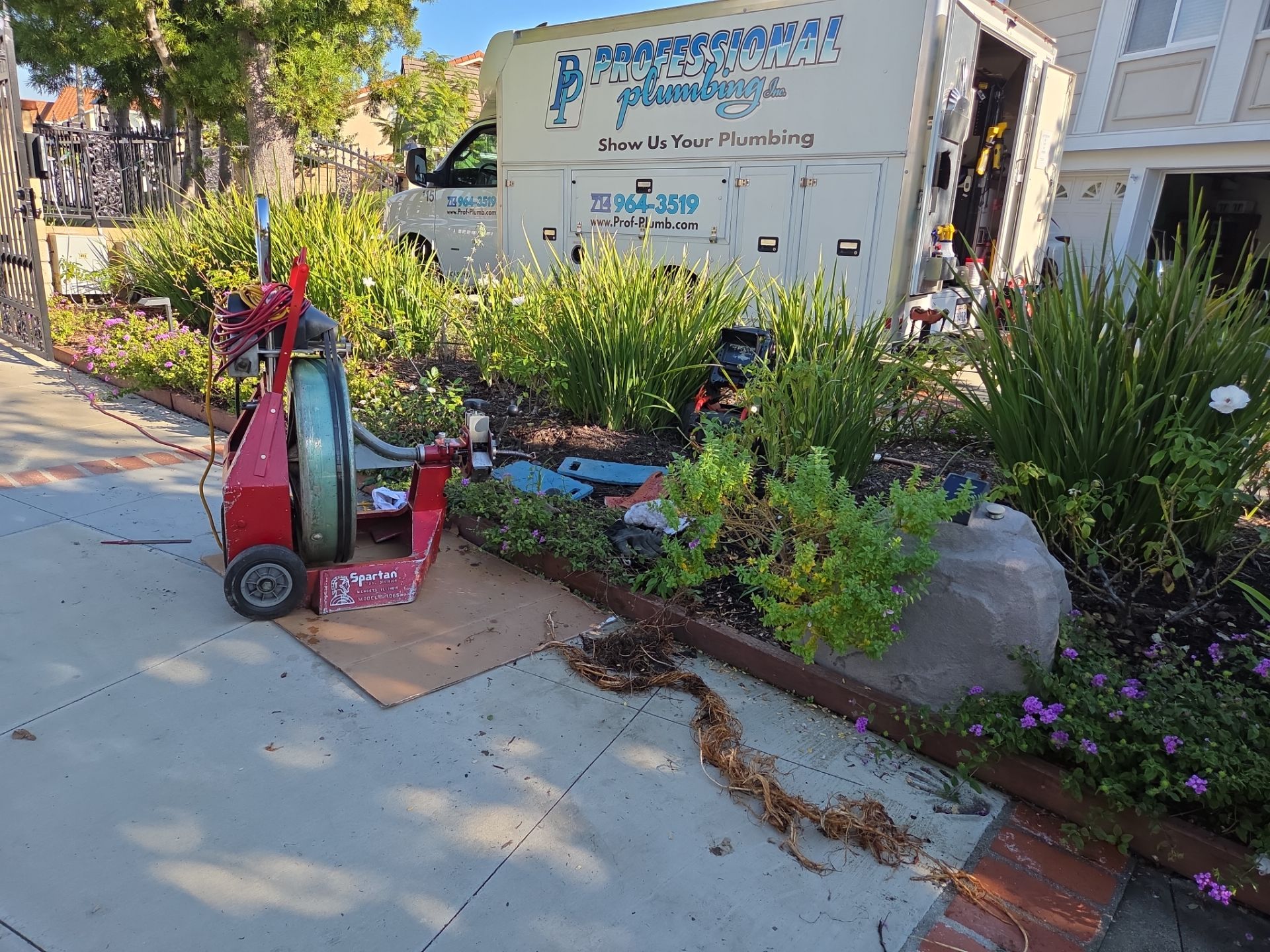 Area Drain Root Intrusion by Professional Plumbing Inc 