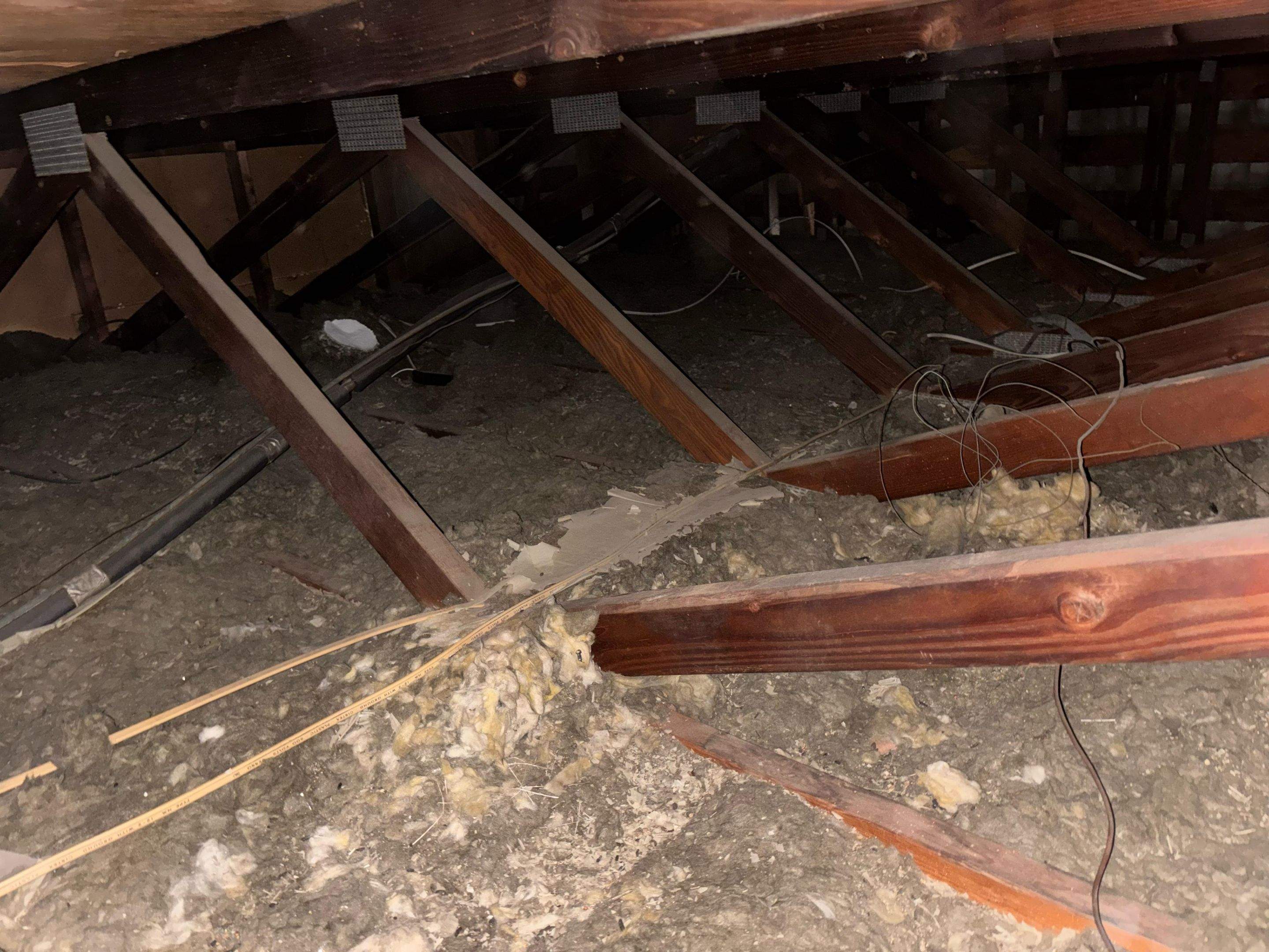 Project in Cypress by Insulation Labs