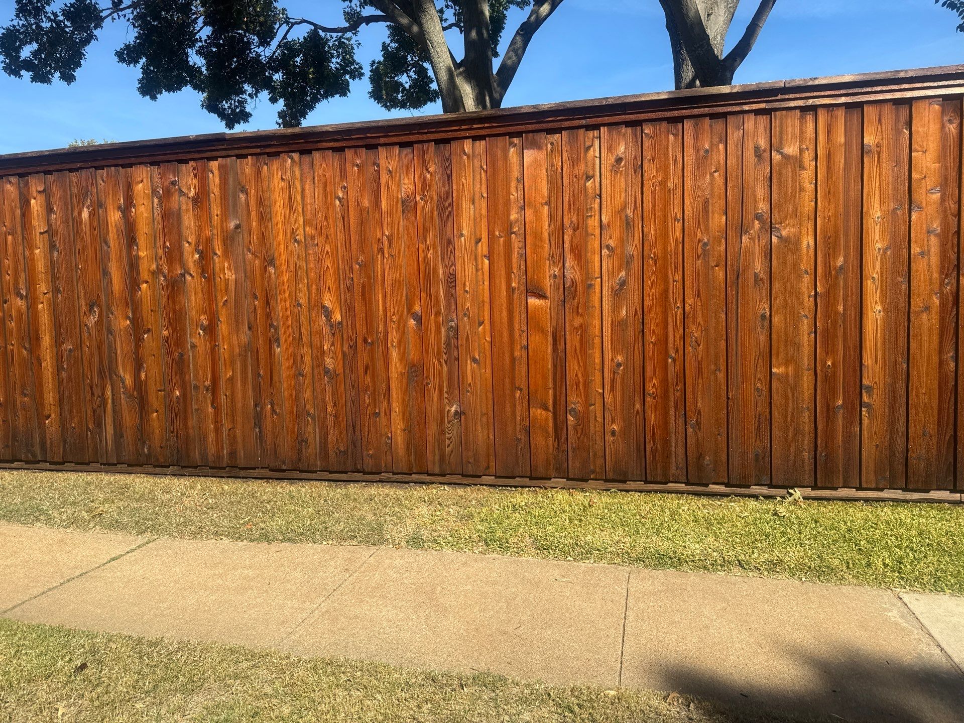 Fence Staining using Ready Seal Stain - Pecan by Lighthouse Contractors