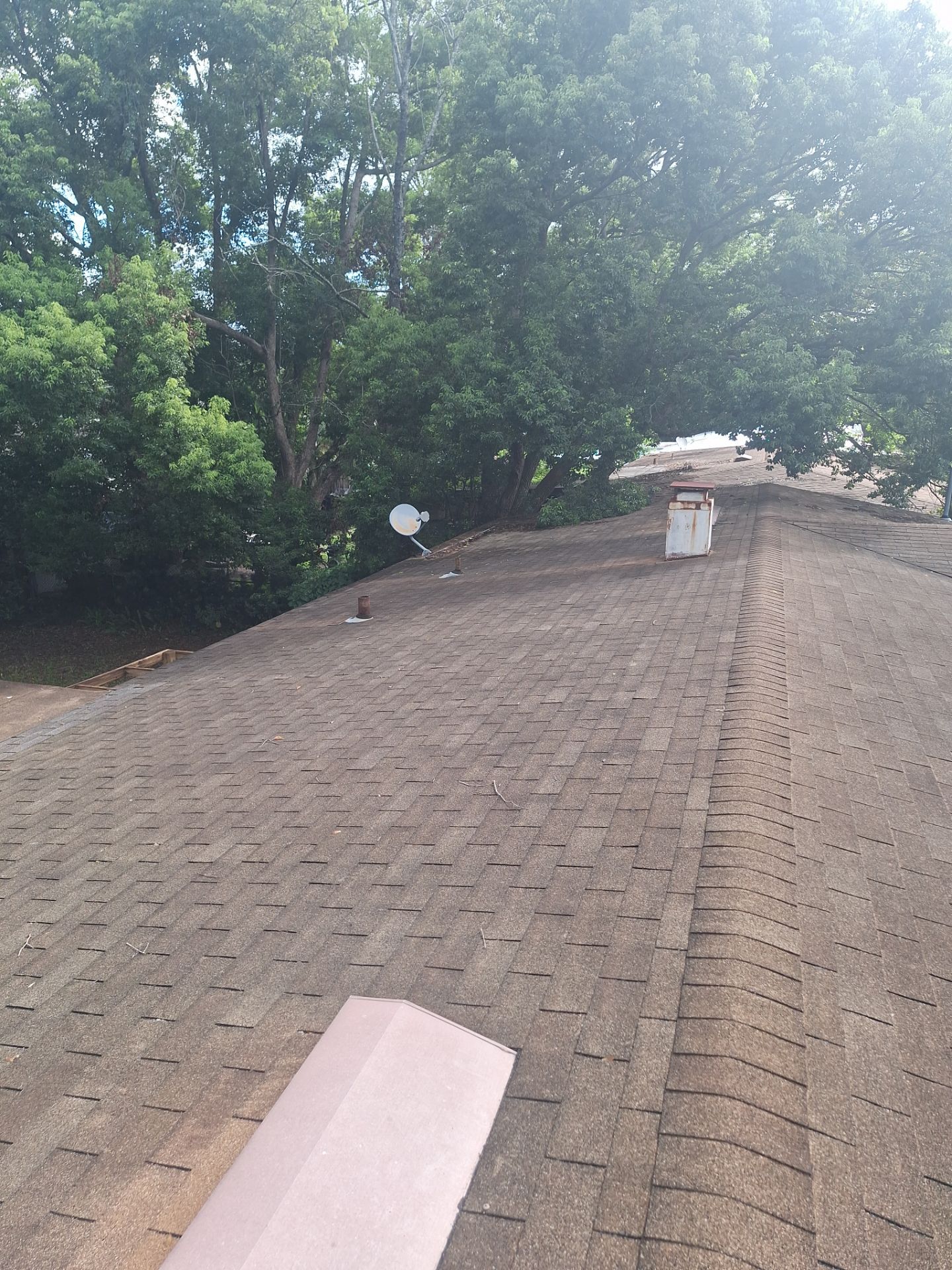 Shingles -> Shingles by Prime Roofing