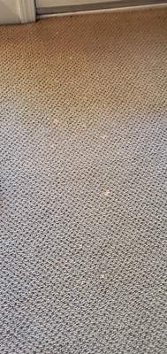 Spot Dyeing Carpet Sprayed by Bleach
