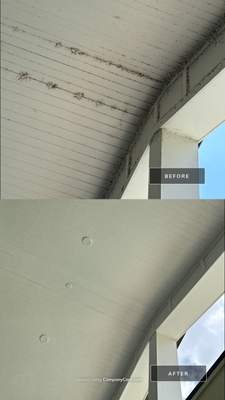Clubhouse Soft Wash & Pest Nest Removal - Melbourne, FL
