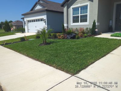 Complete Lawn Restoration with St. Augustine Sod
