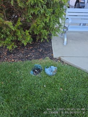 Project in Marysville