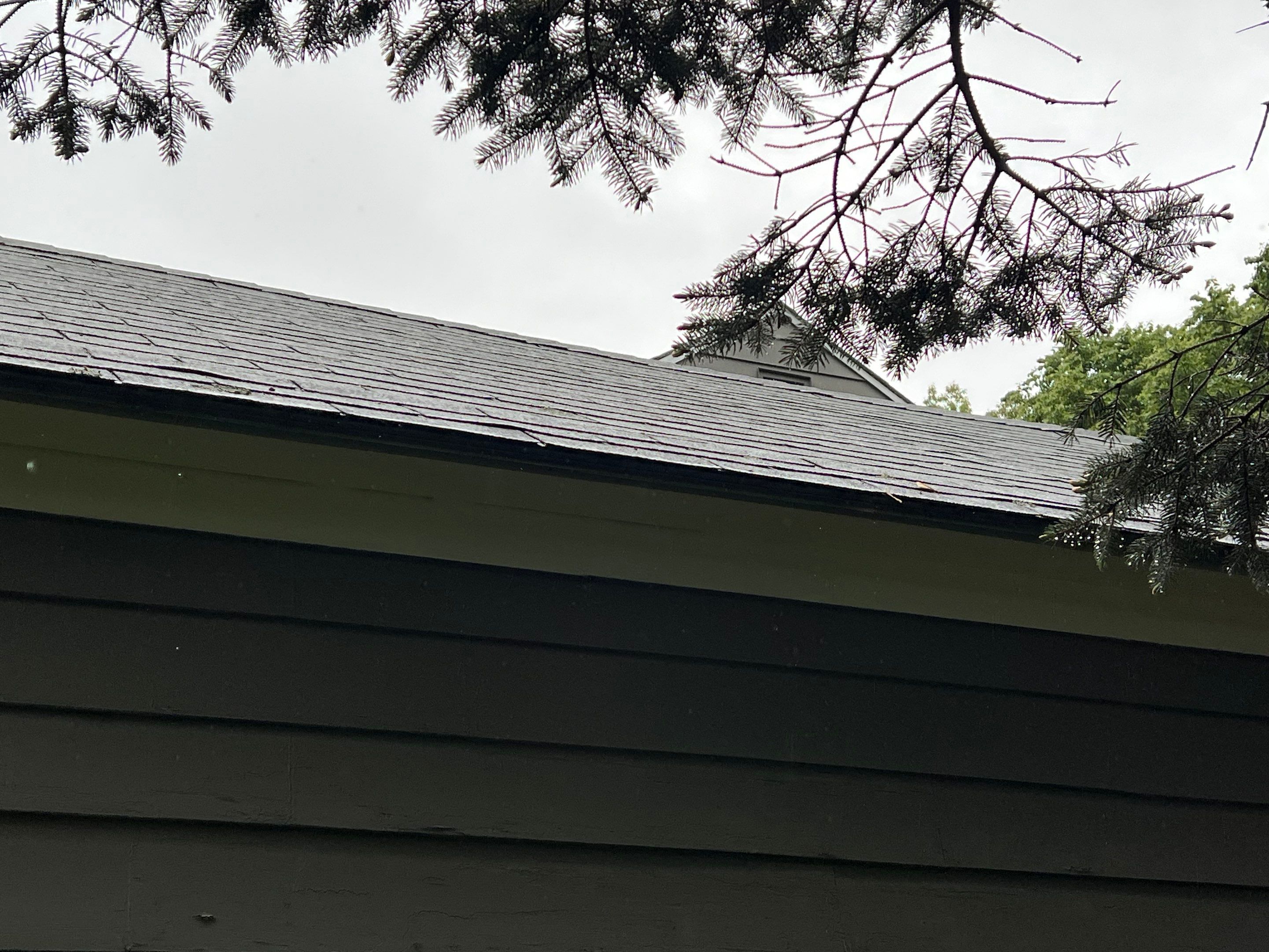 Complete Roof Replacement with Ventilation Upgrade by Mighty Dog Roofing of Greater Middlesex County