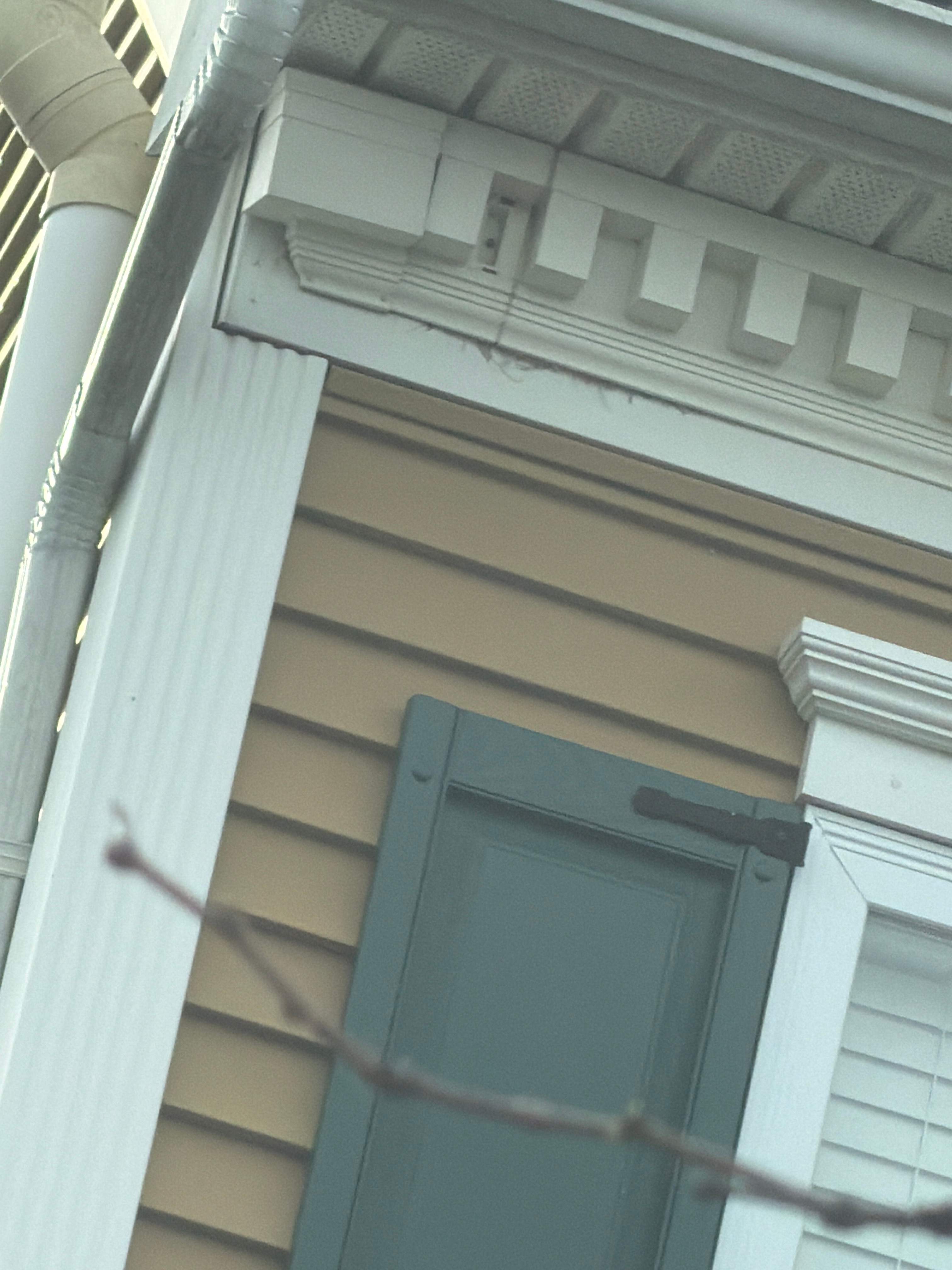 Vinyl Siding, Exterior Trim & Drainage Upgrades by Laser Focused Solutions LLC
