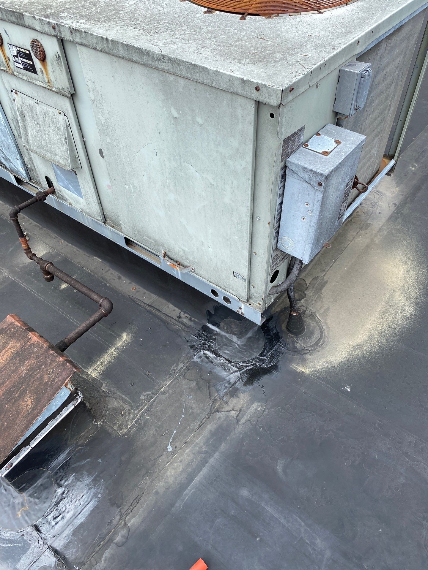 Aunt Millies Roof Repairs by Nitro Roofing and Construction